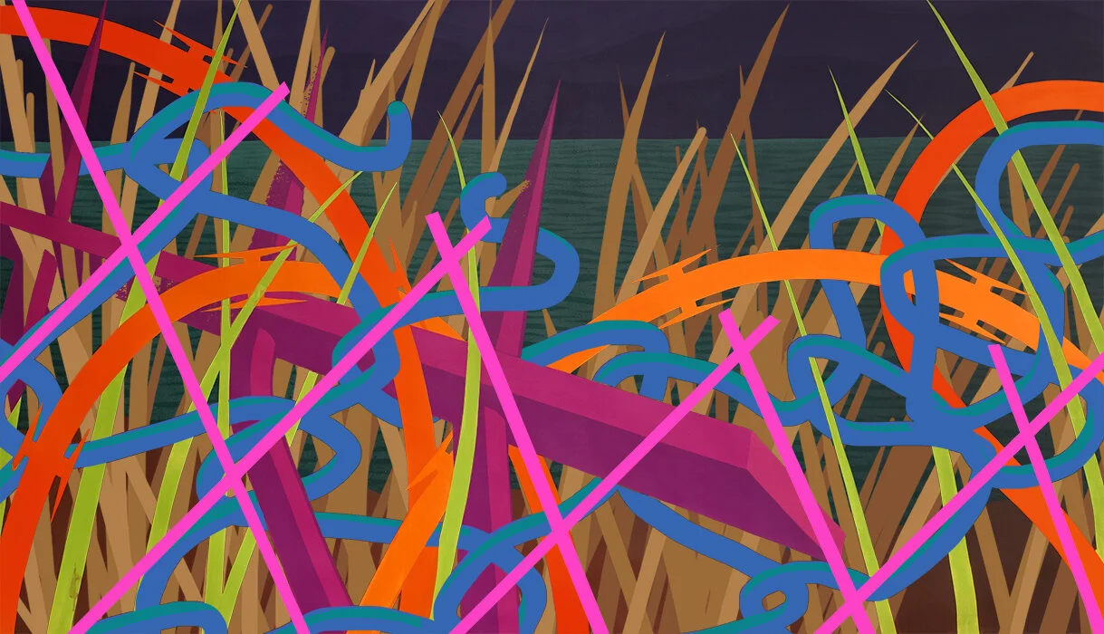 Colorful abstract digital artwork with tangled, looping lines in pink, orange, blue, and green, over a background of tall, thin, brown and yellow grass and a dark blue sky.