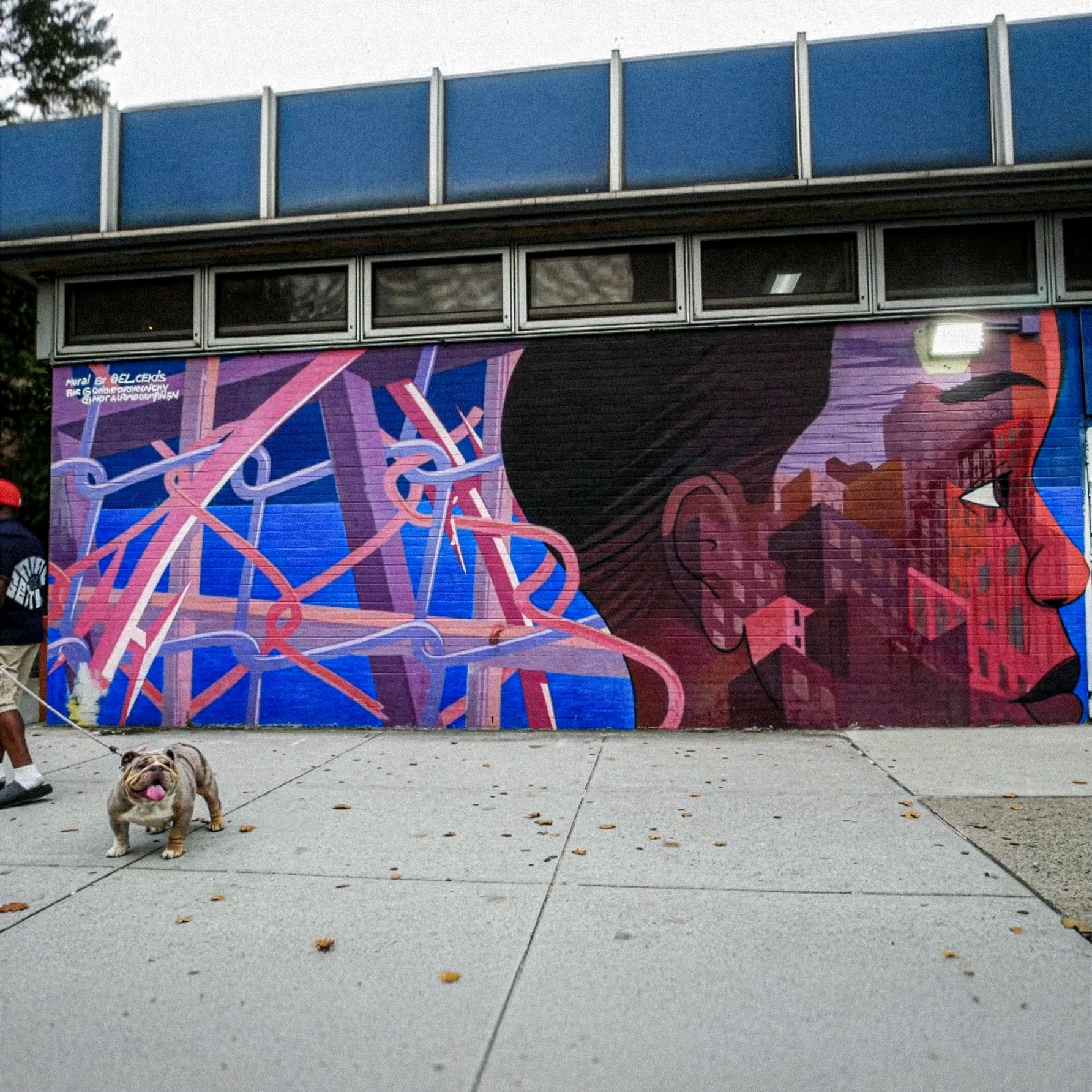 Education is Not A Crime