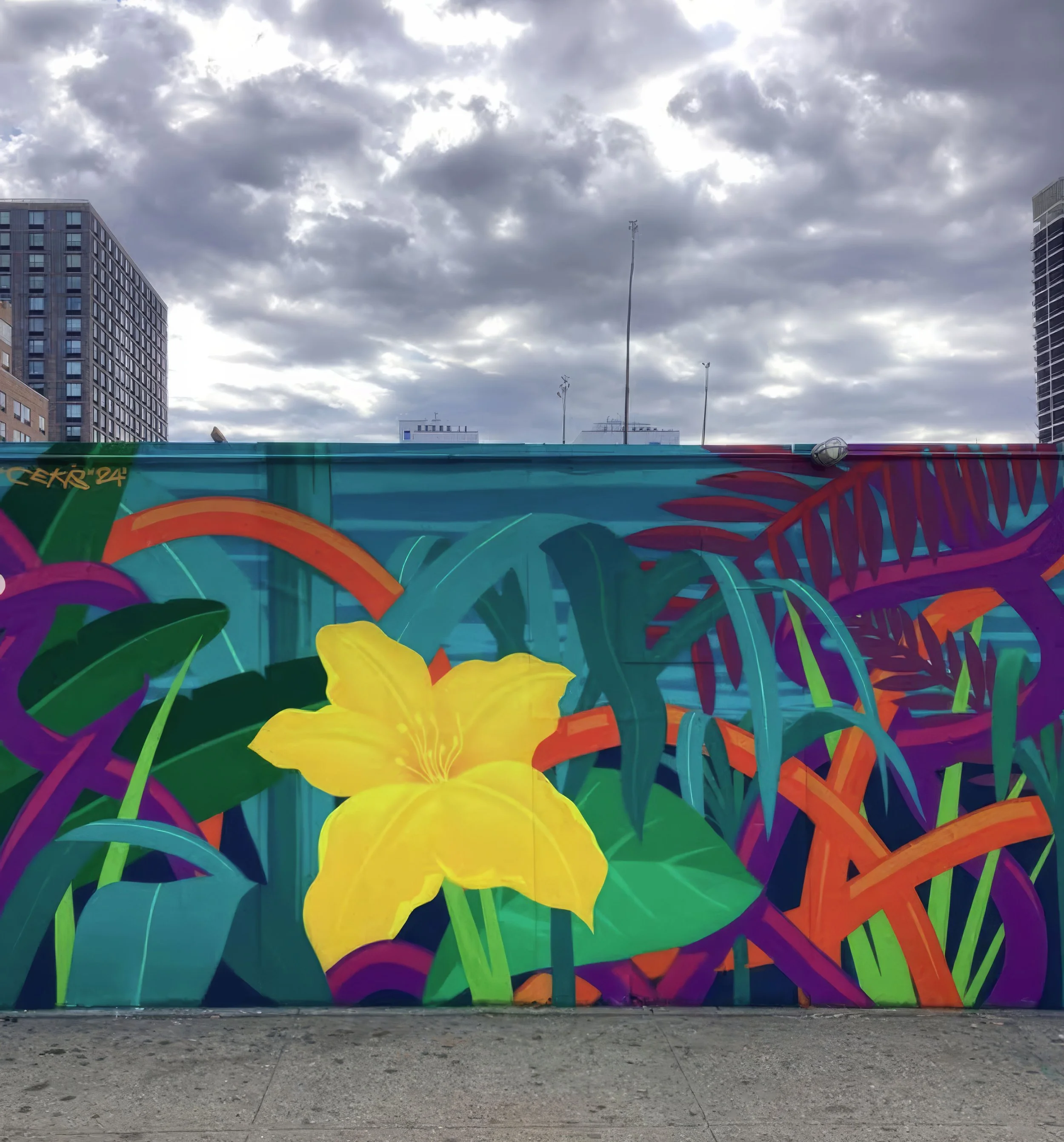 Untitled, East Harlem, NY