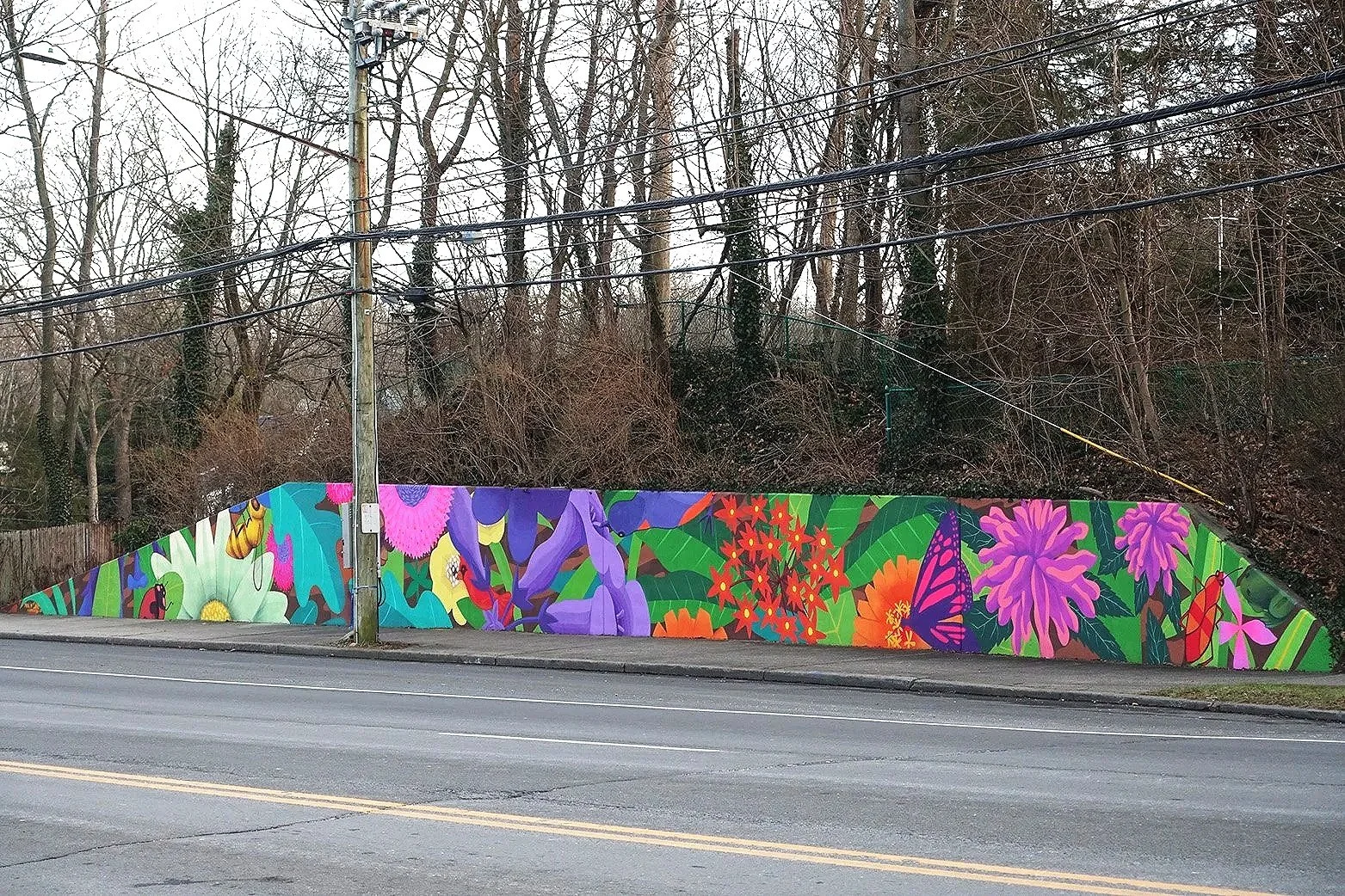Colorful mural of flowers and a butterfly on a concrete wall beside a road, with trees and power lines in the background.