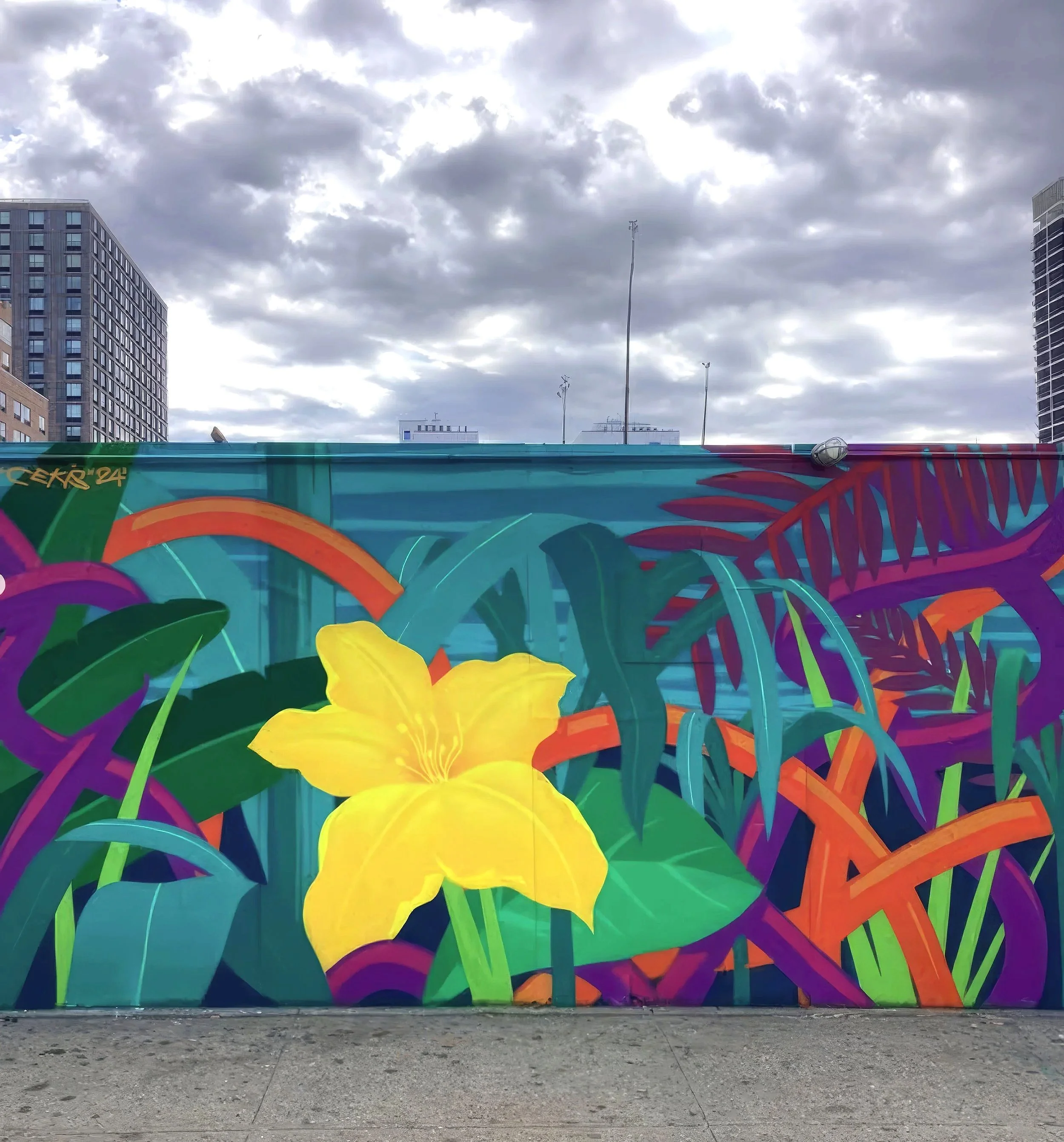 Untitled (East Harlem, NY)