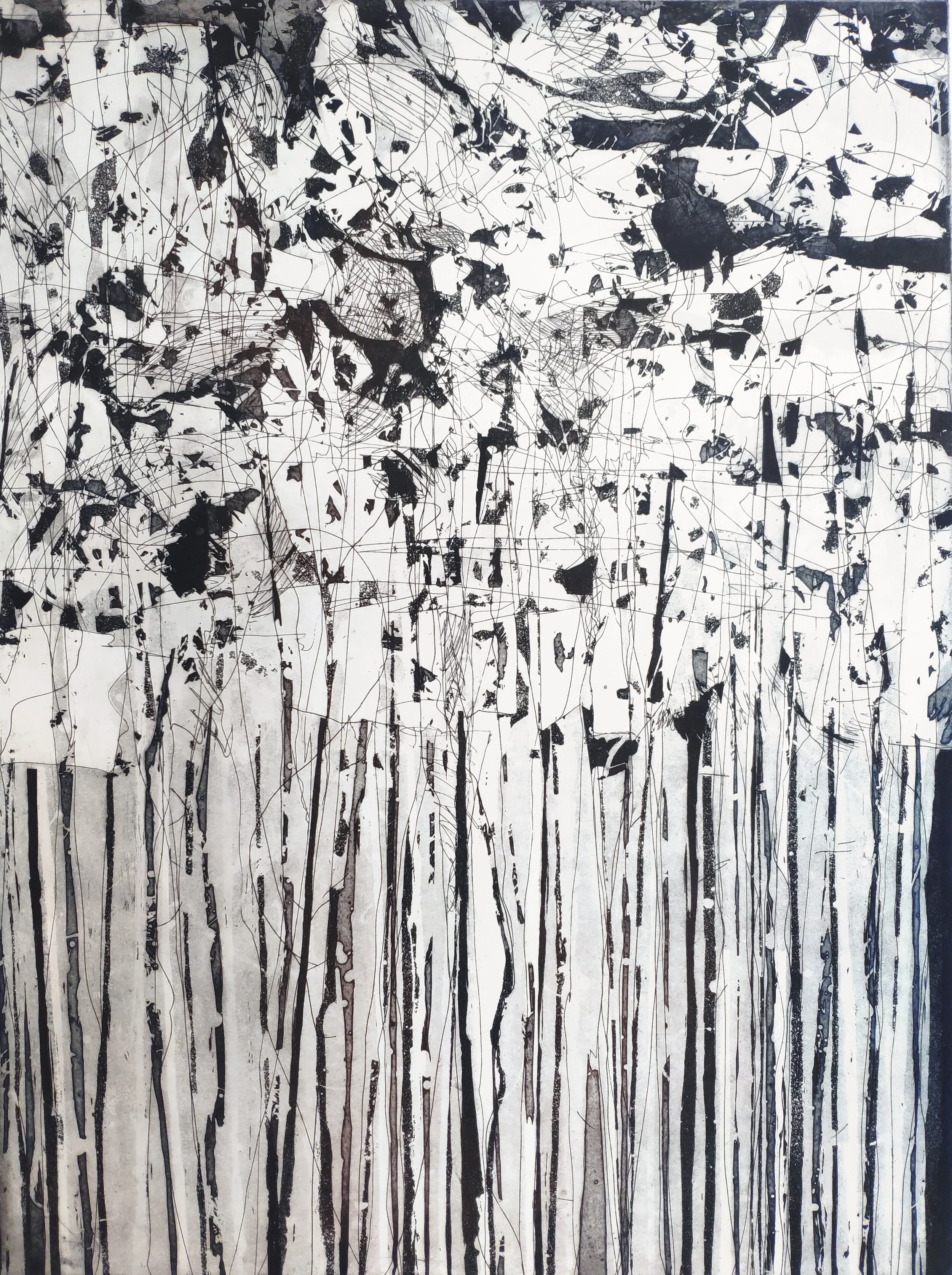 paysage dans la nuit (noir),79 x 59,5 cm.jpg