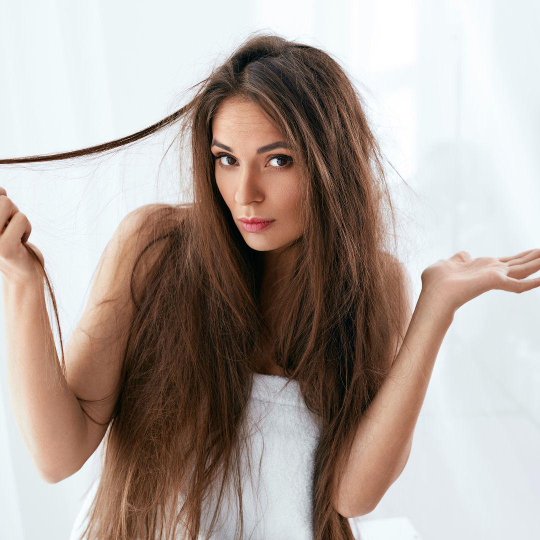 D979CDC7-FAA5-4D1F-88C8-EBFDED332D0A