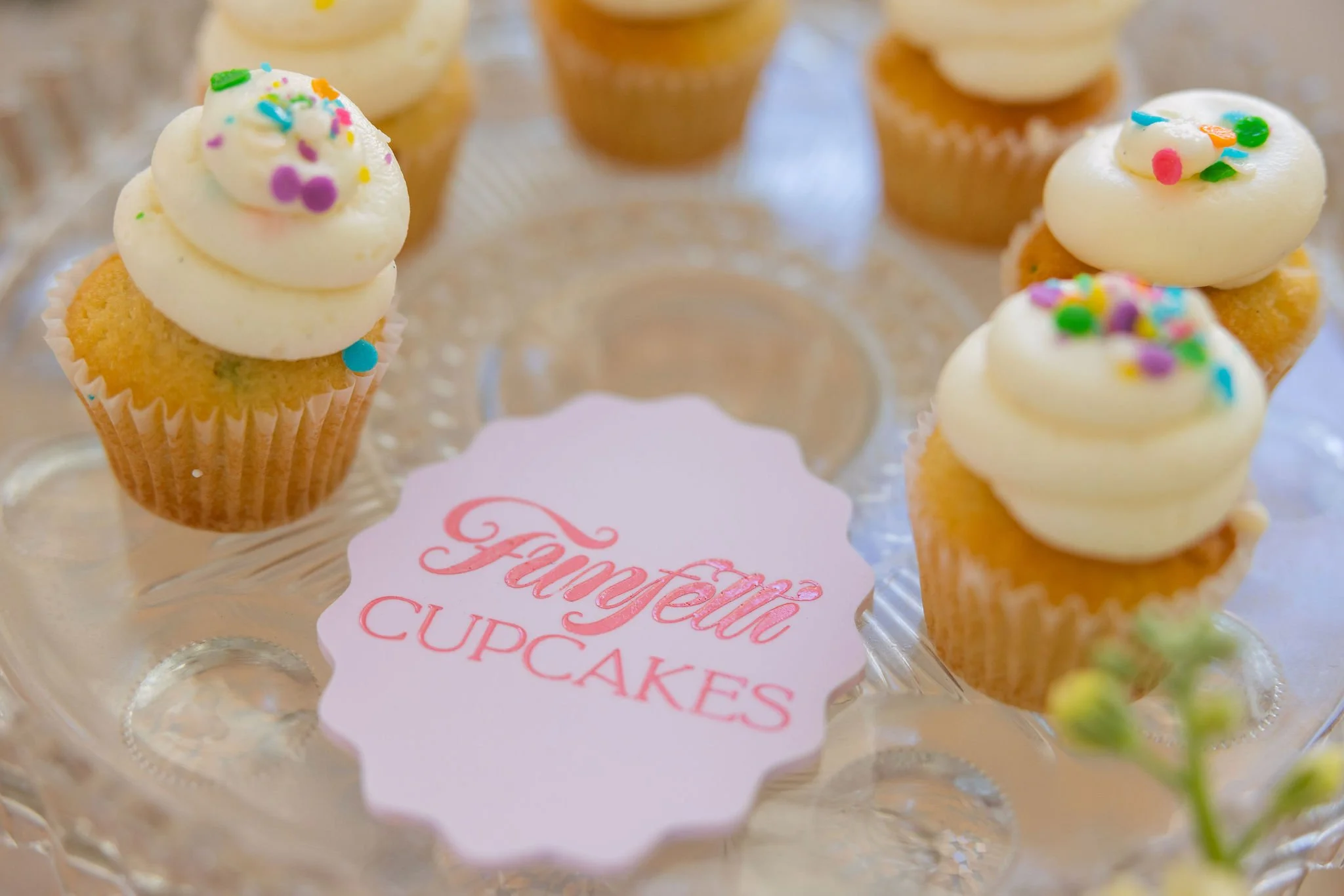 cameron_ingalls-nafziger_baby-shower-26-0070.jpg