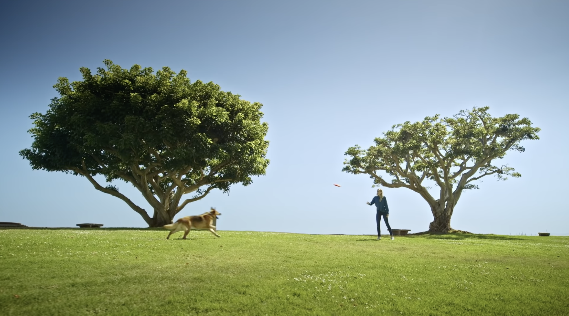 Screen Shot 2023-09-18 at 8.46.48 PM.png