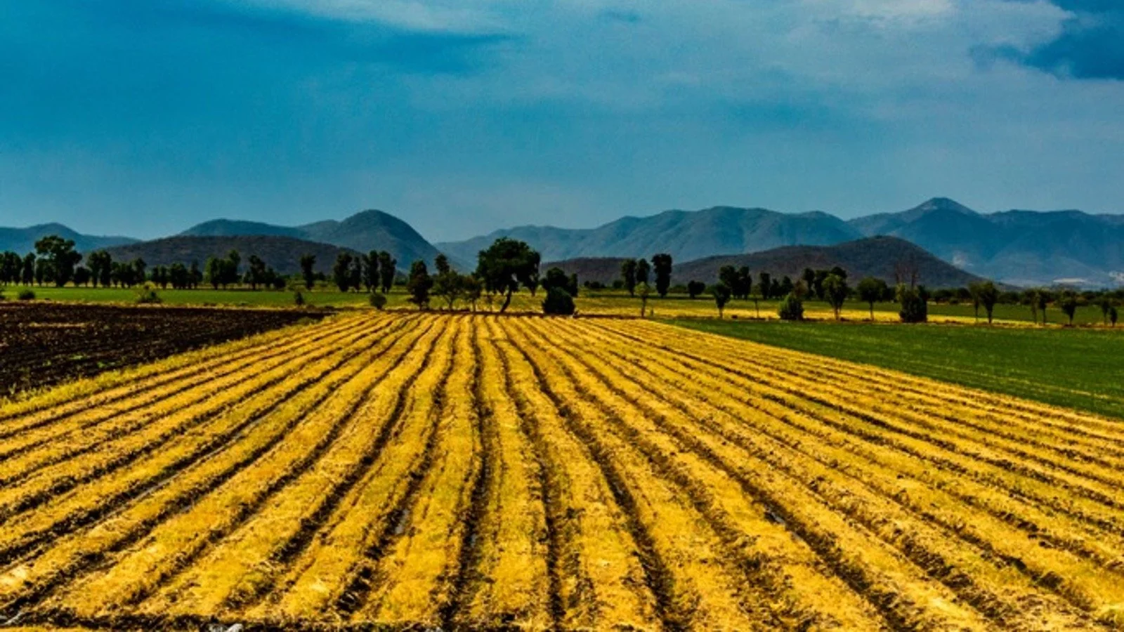 Afectará la presencia de El Niño la temporada de lluvias en México en 2026?