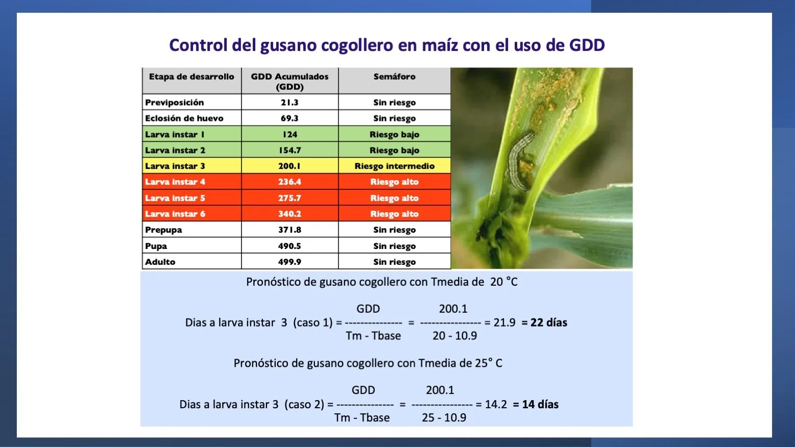 Importancia de la temperatura en la agricultura de precisión — climaproagro