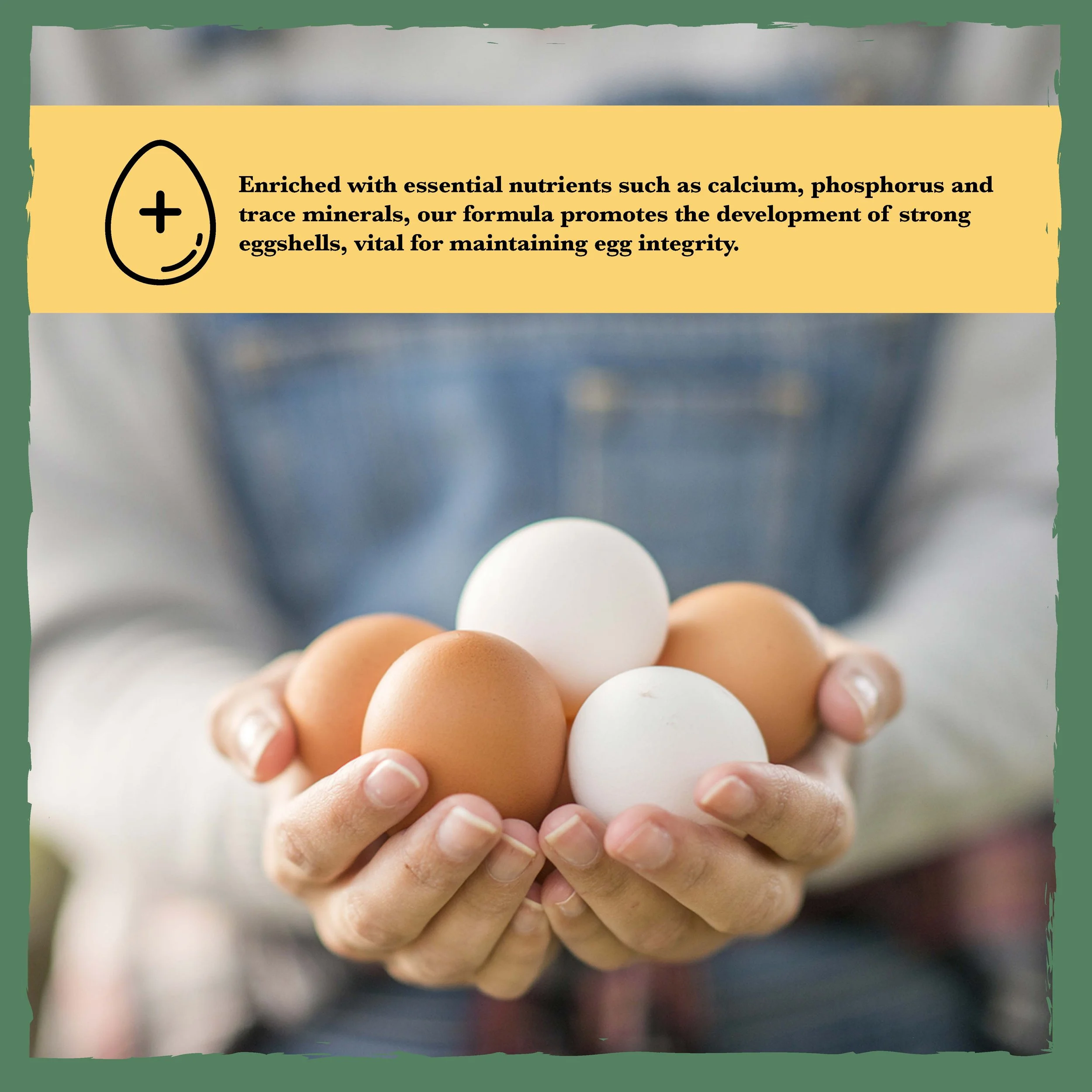 RC All Natural 16% Poultry Feed Bonus-04.jpg