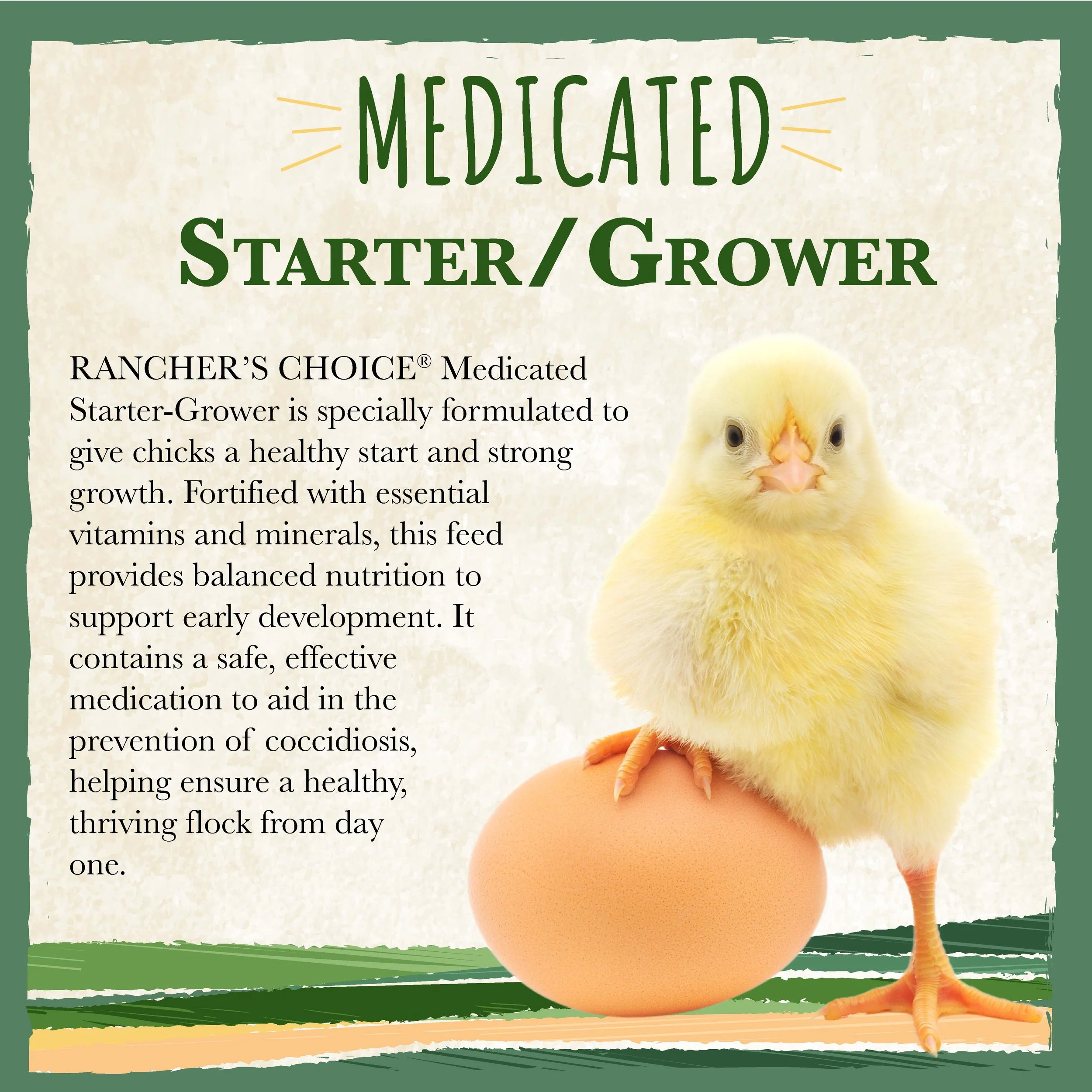 RC Medicated Starter and Grower Feed Bonus-01.jpg