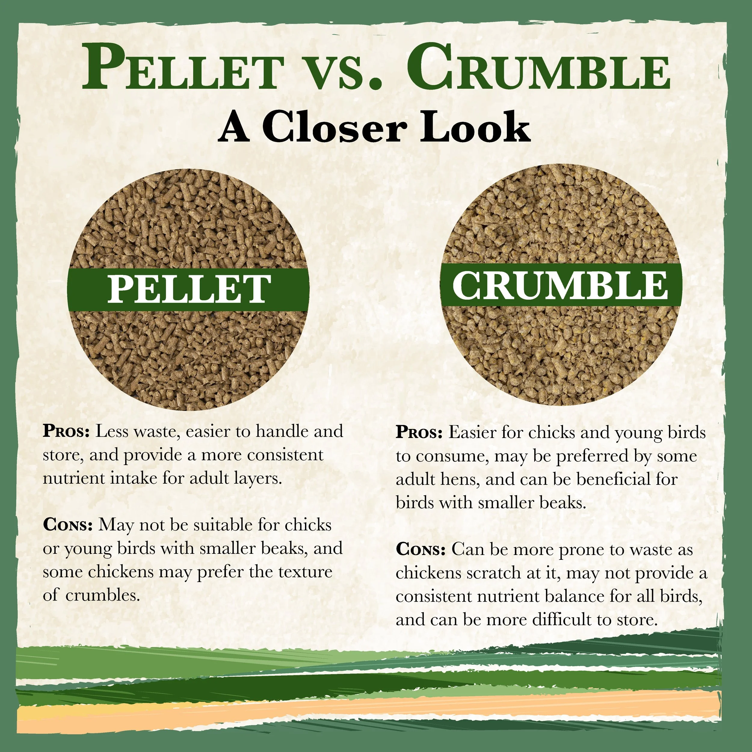 RC All Natural 16% Poultry Feed Bonus-01.jpg