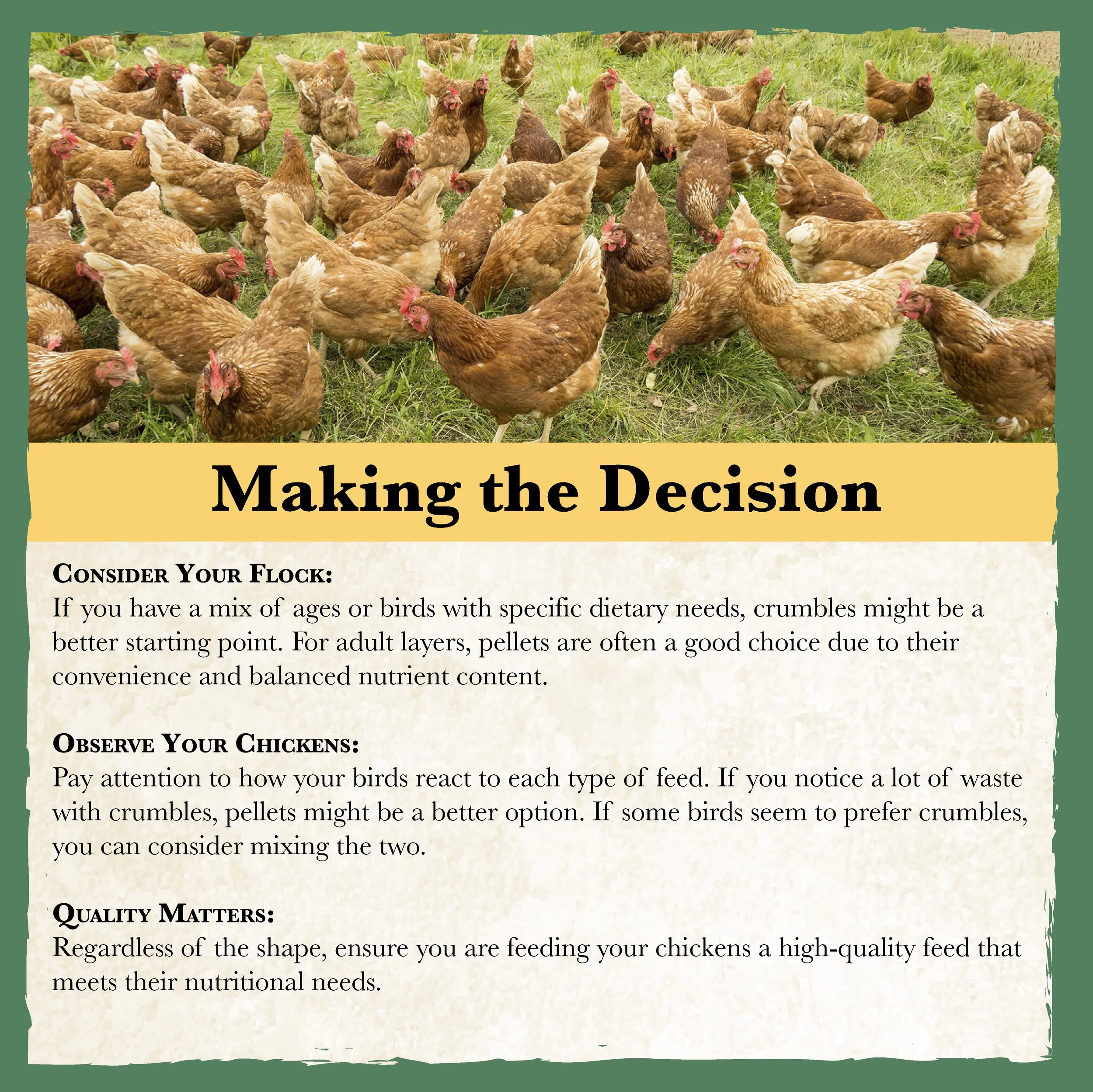 RC All Natural 16% Poultry Feed Bonus-03.jpg