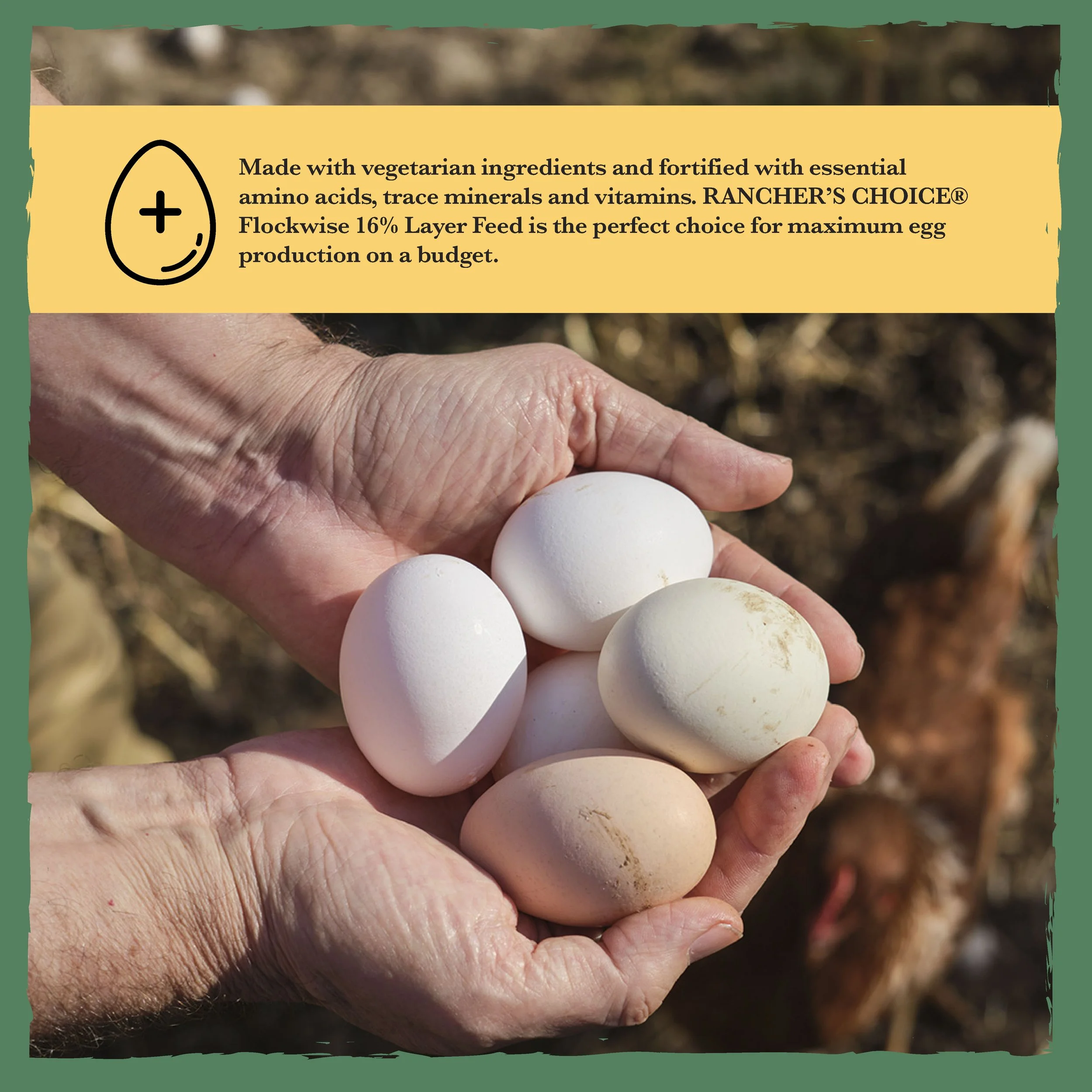 RC Flockwise 16% Poultry Feed Bonus-04.jpg