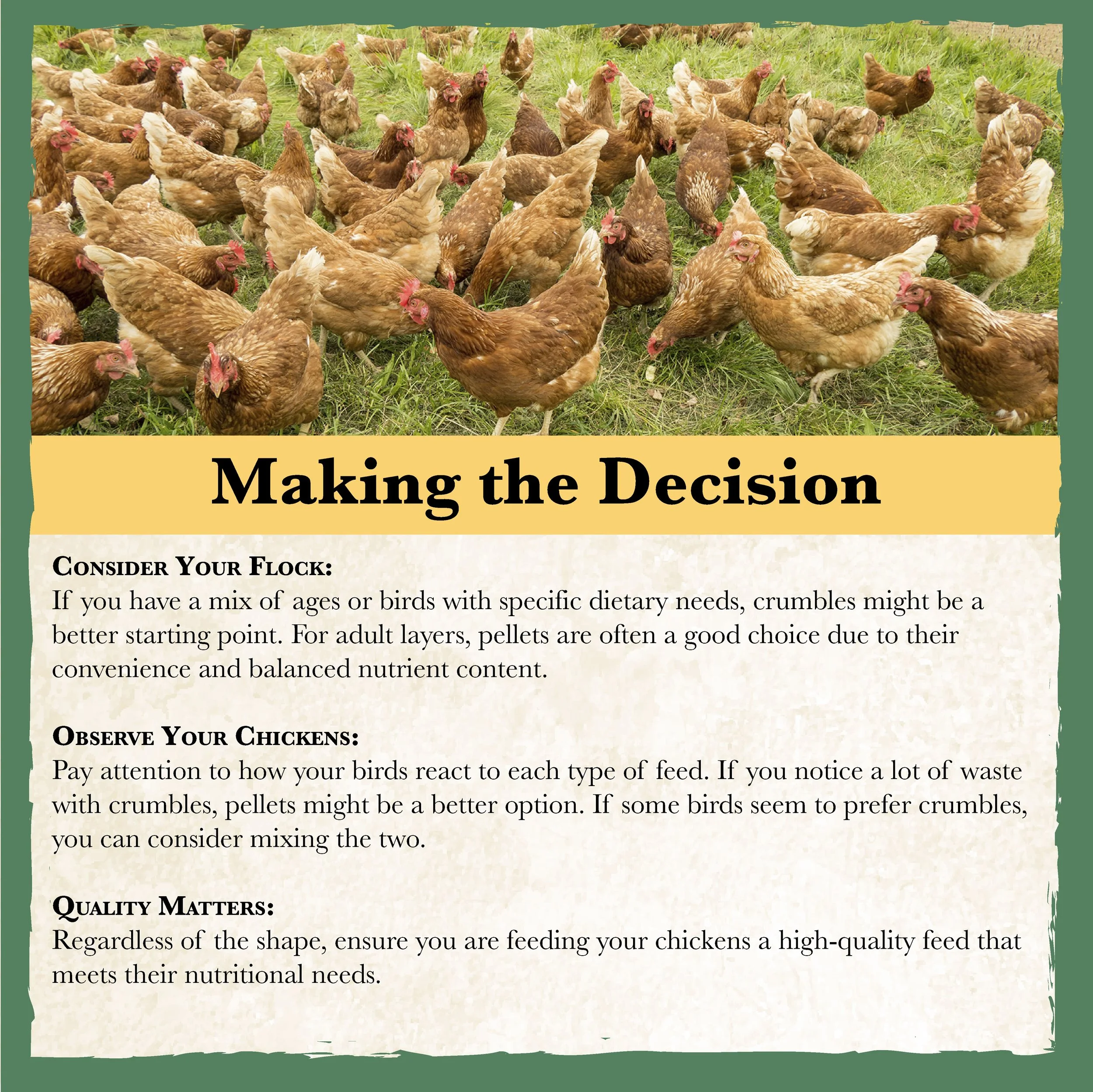 RC Flockwise 16% Poultry Feed Bonus-03.jpg
