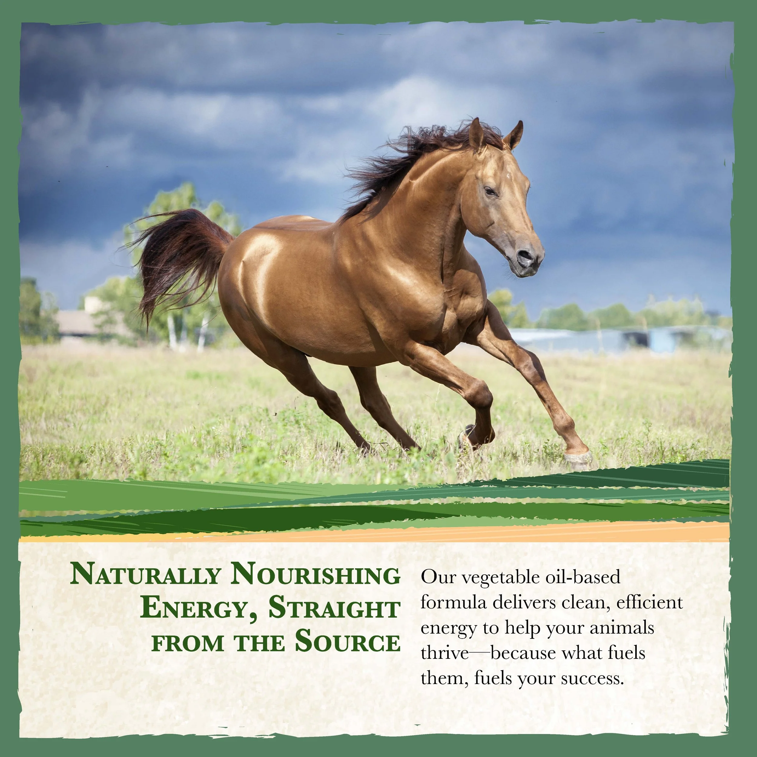 RC Range Horse Feed Bonus-03.jpg
