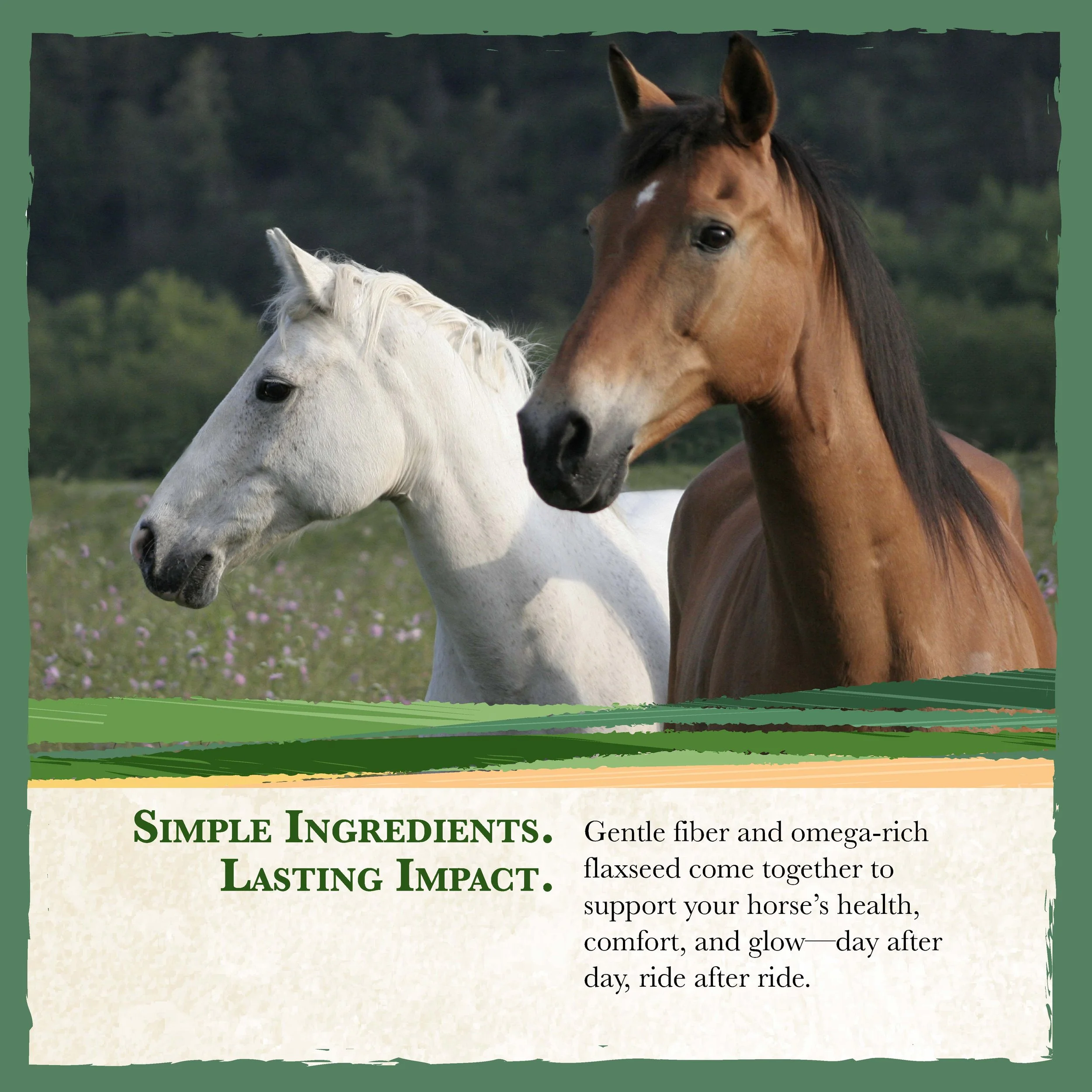 RC Range Horse Feed Bonus-05.jpg