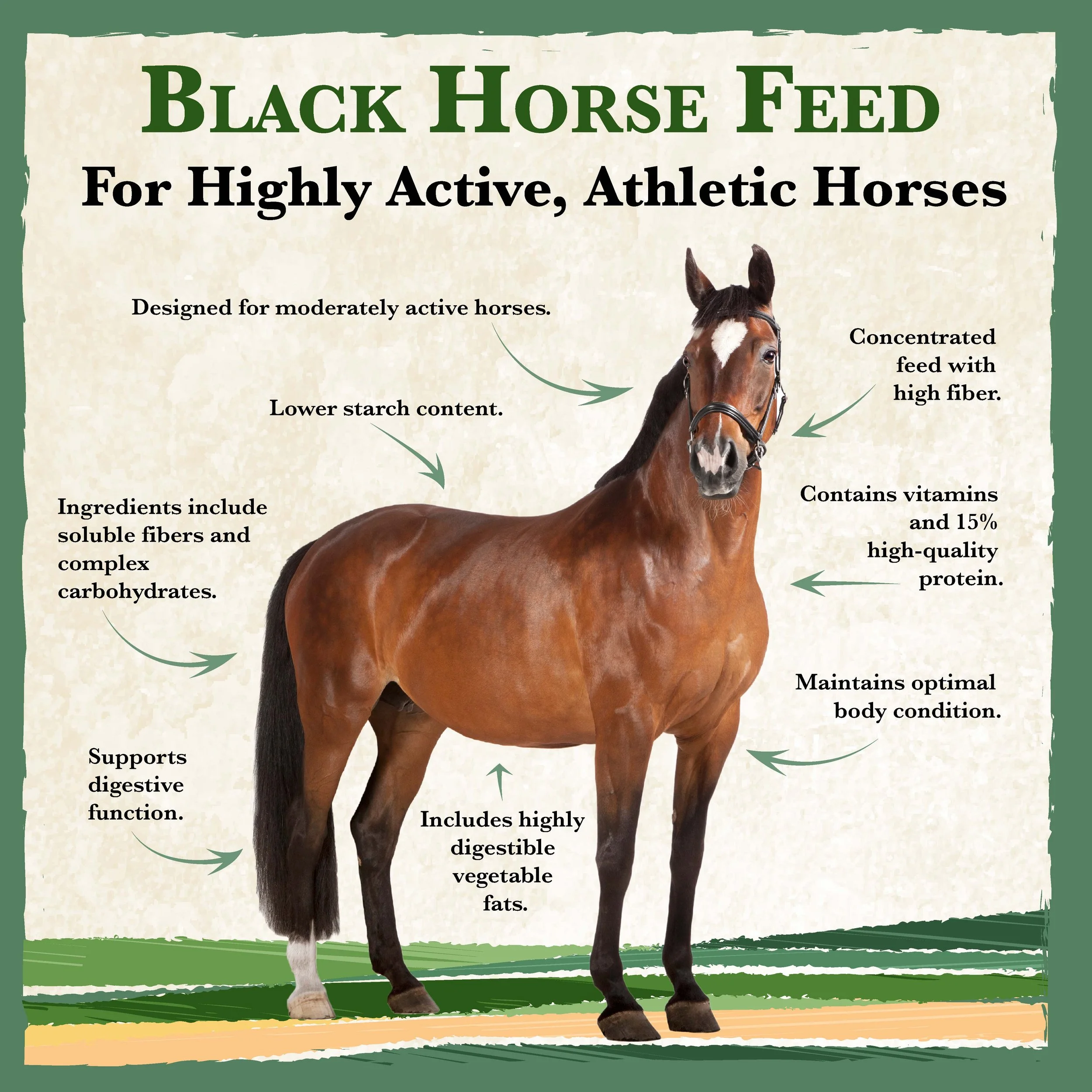 RC Black Horse Feed Bonus-01.jpg