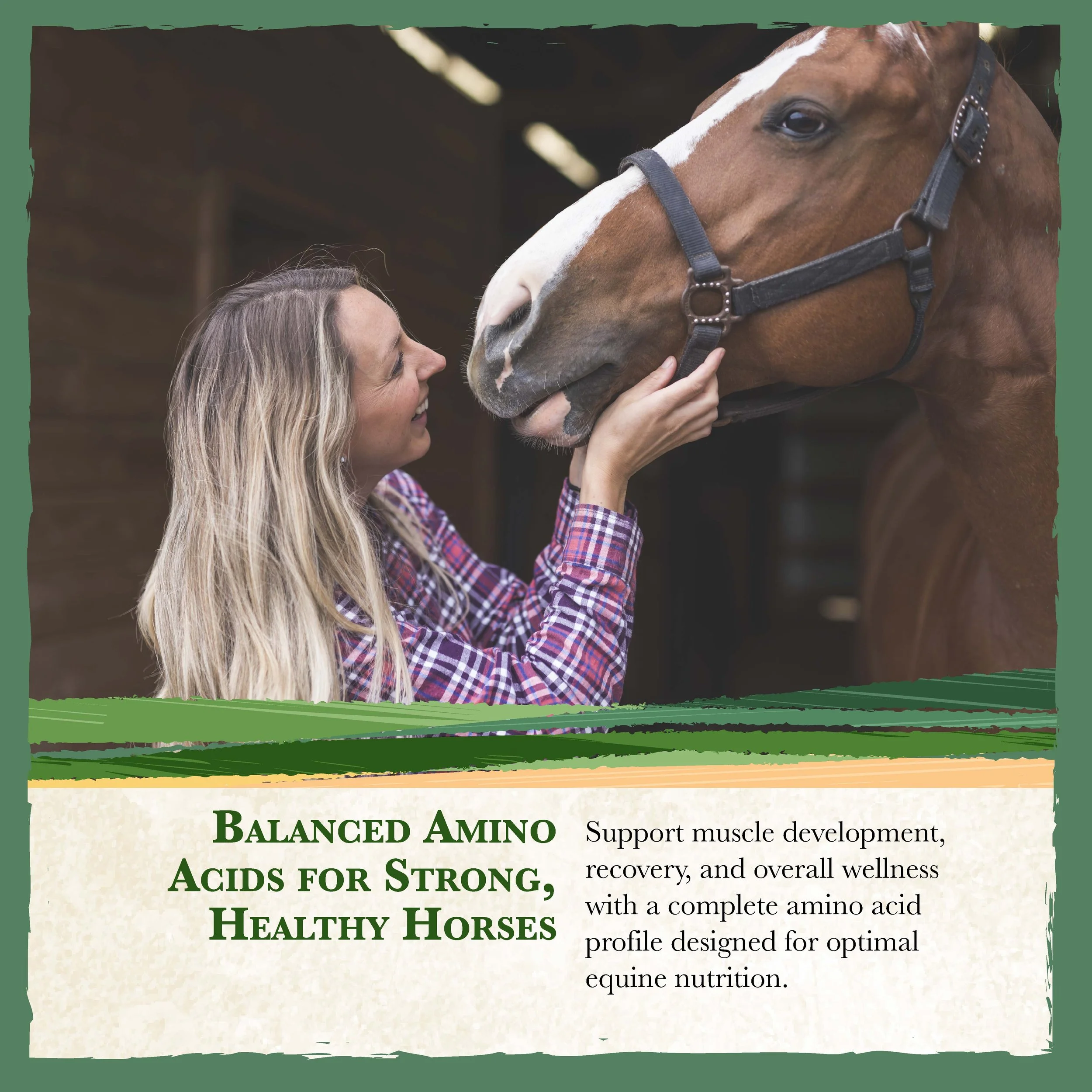 RC Black Horse Feed Bonus-04.jpg
