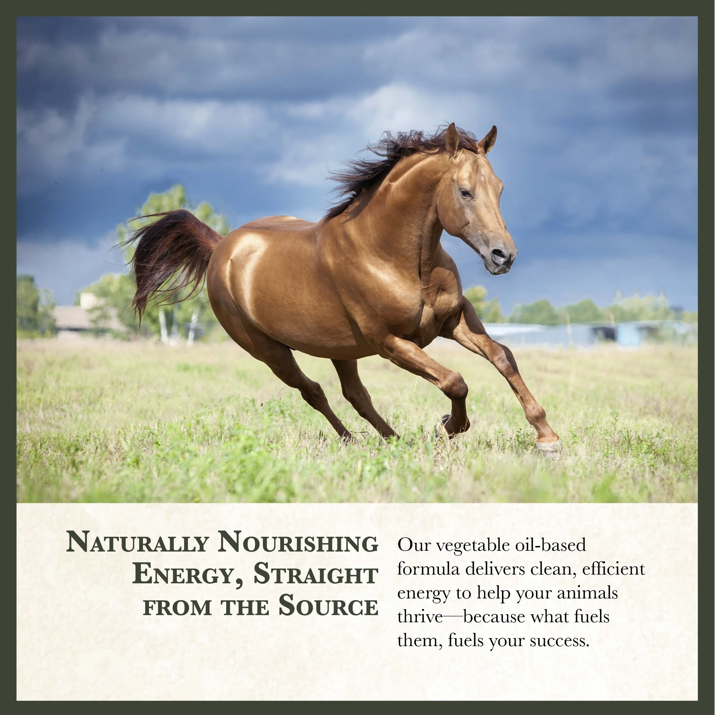 RC Range Horse Feed Bonus-03.jpg