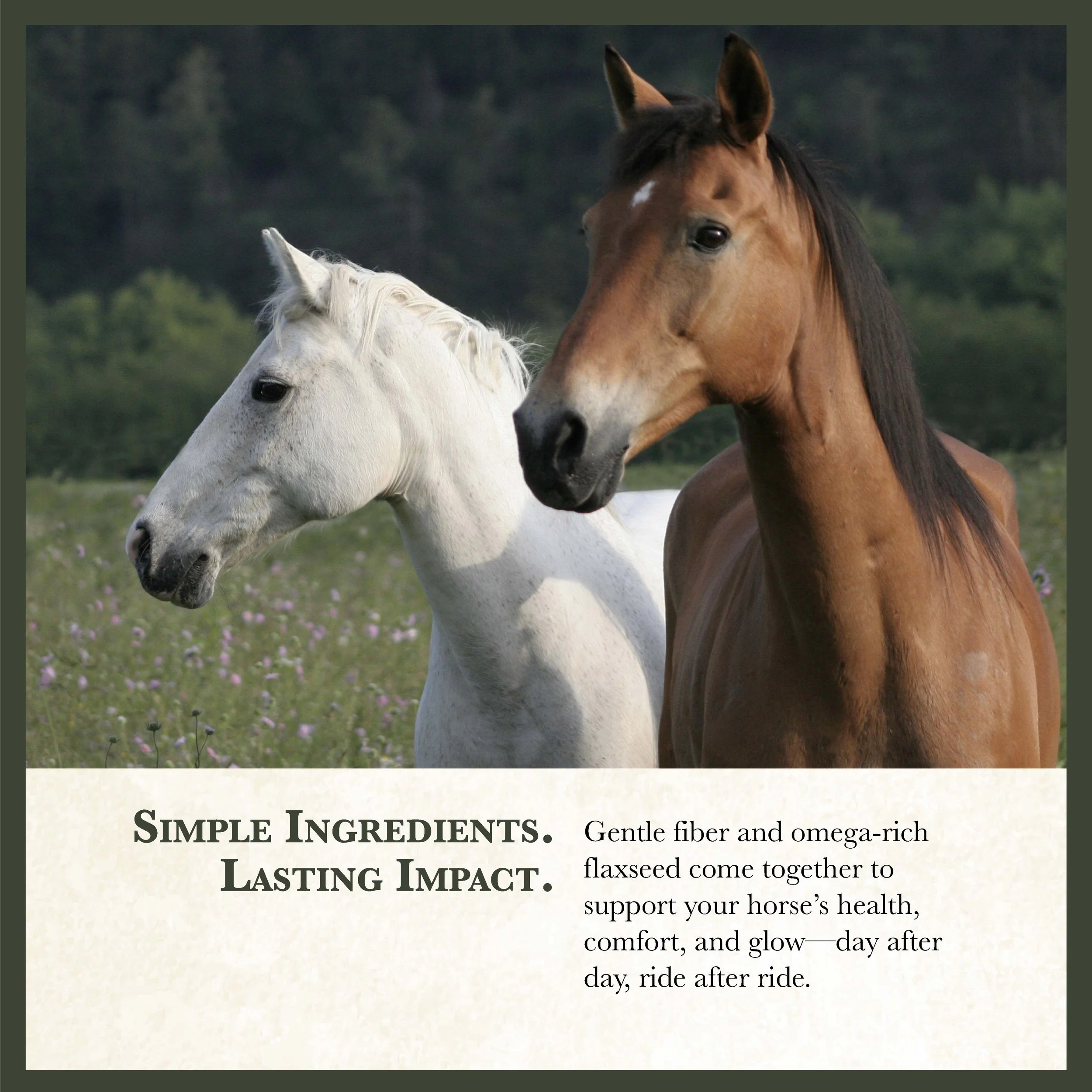 RC Range Horse Feed Bonus-05.jpg