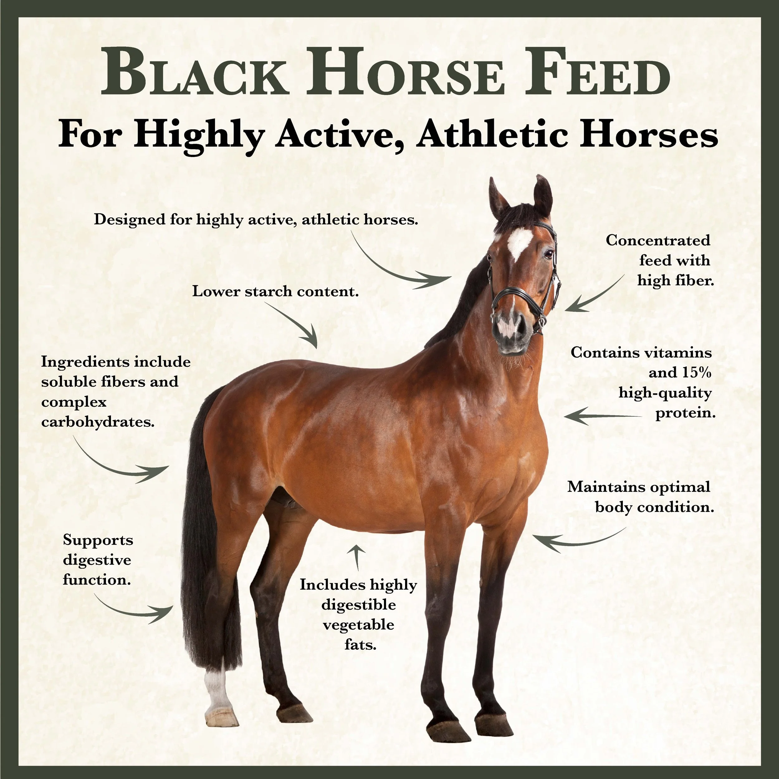 RC Black Horse Feed Bonus-01.jpg