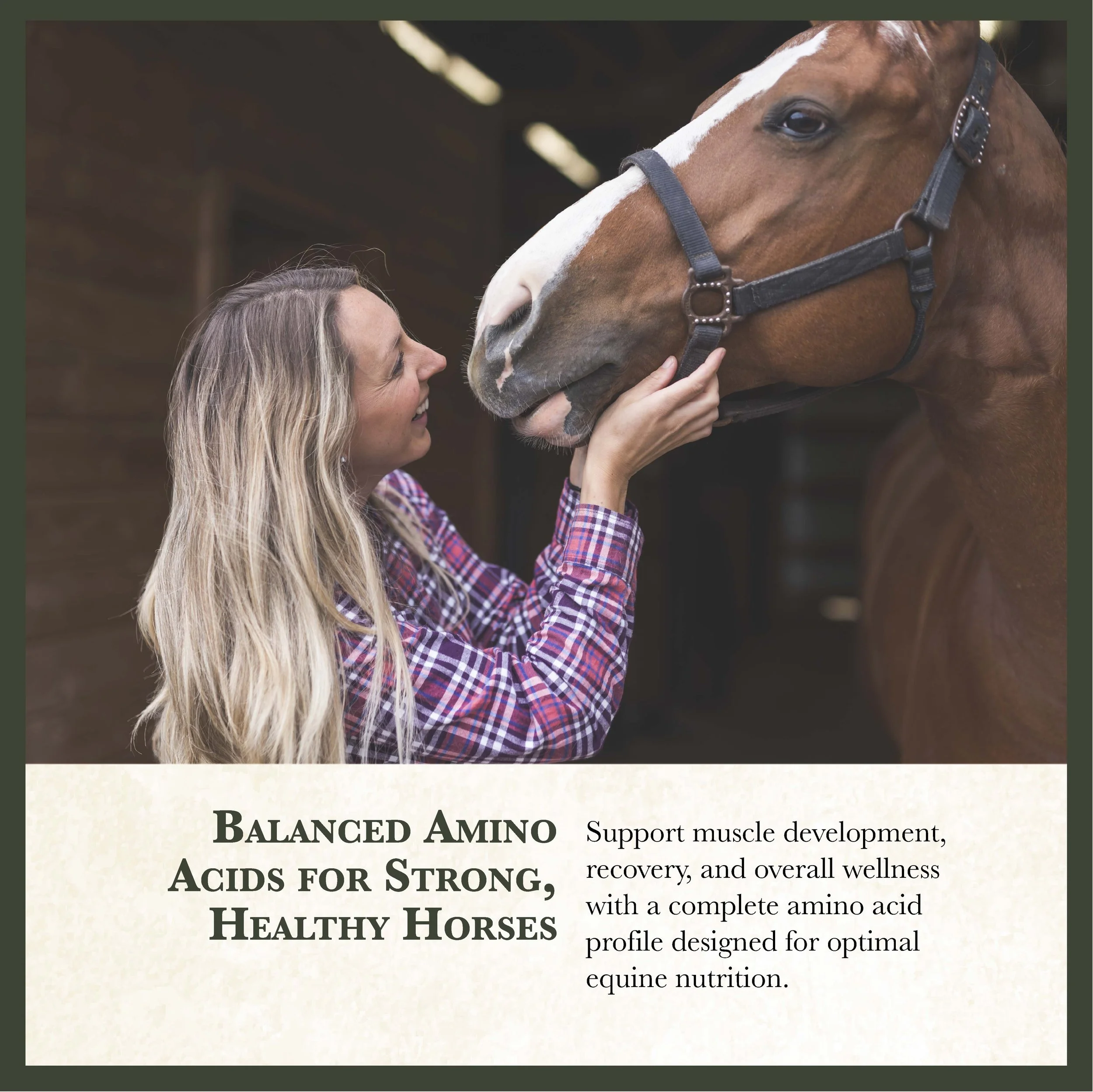 RC Black Horse Feed Bonus-04.jpg