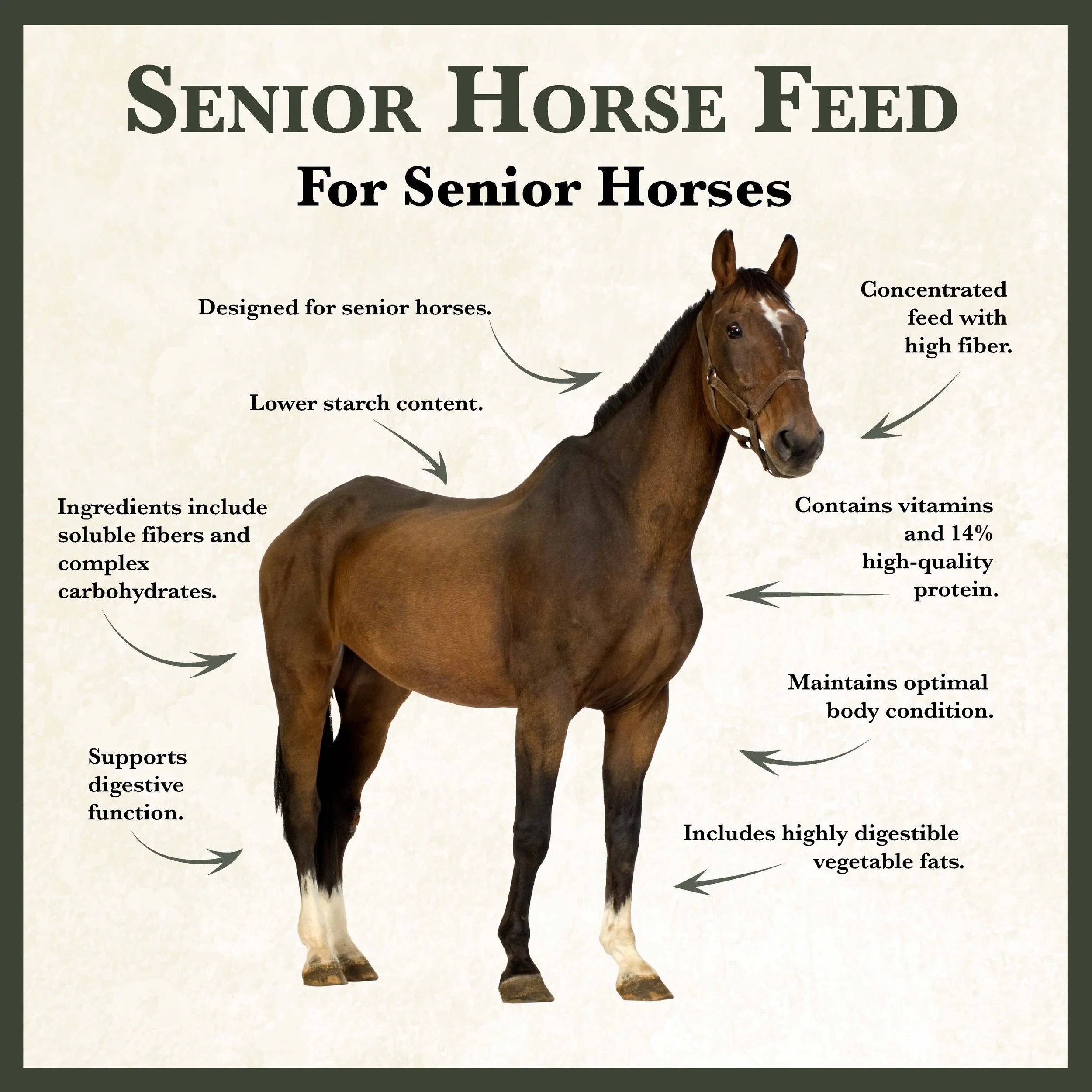 RC Senior Horse Feed Bonus-01.jpg