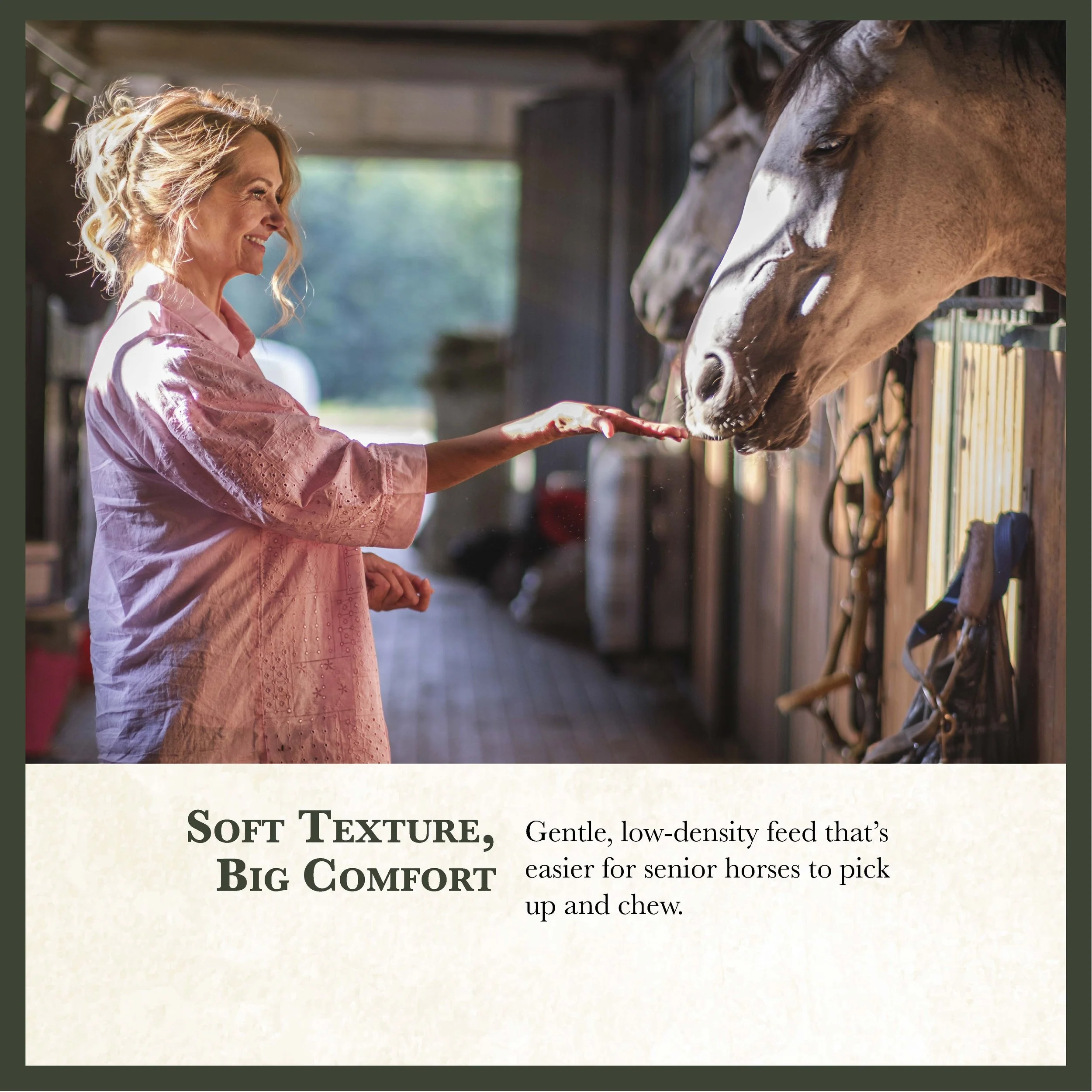 RC Senior Horse Feed Bonus-02.jpg