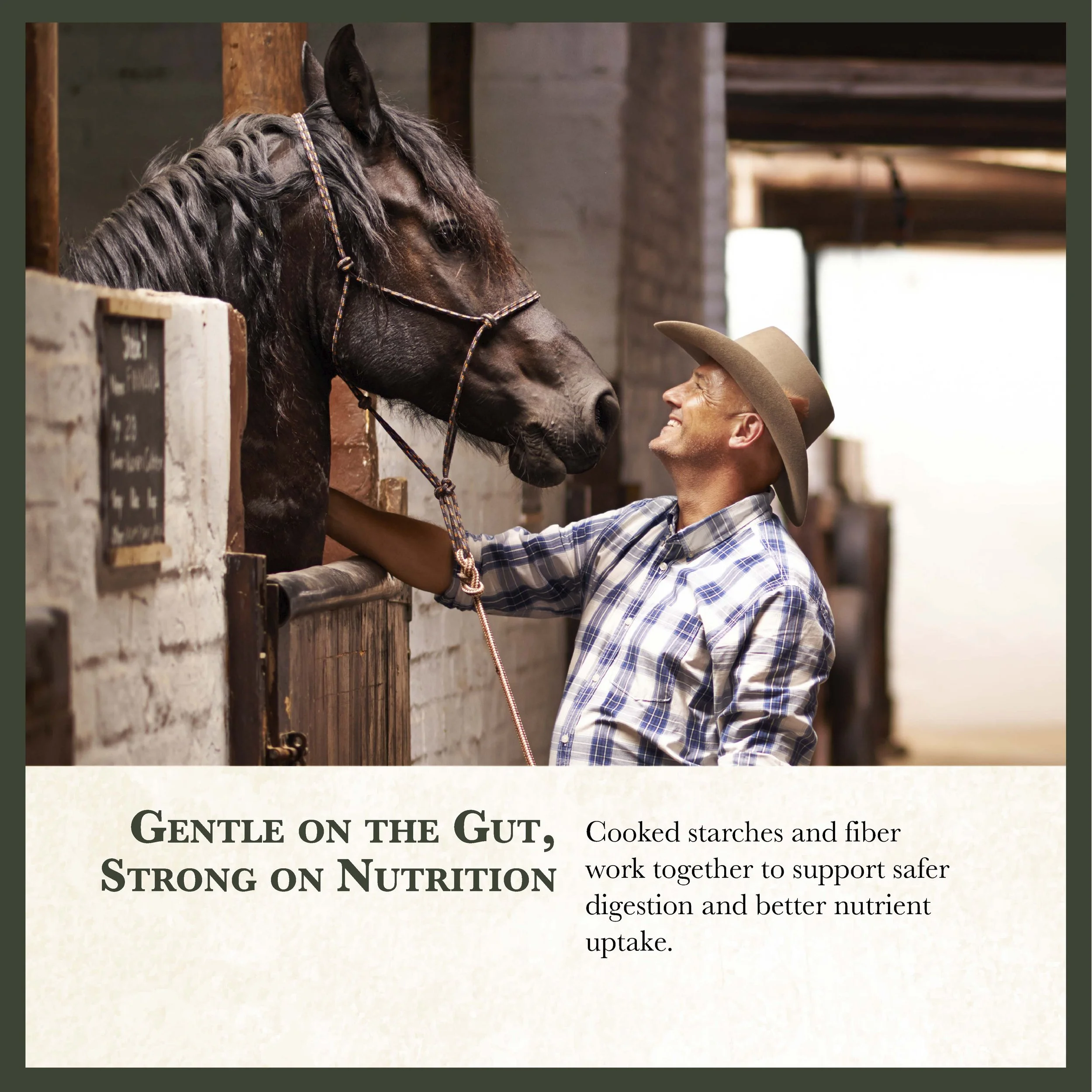 RC Senior Horse Feed Bonus-03.jpg