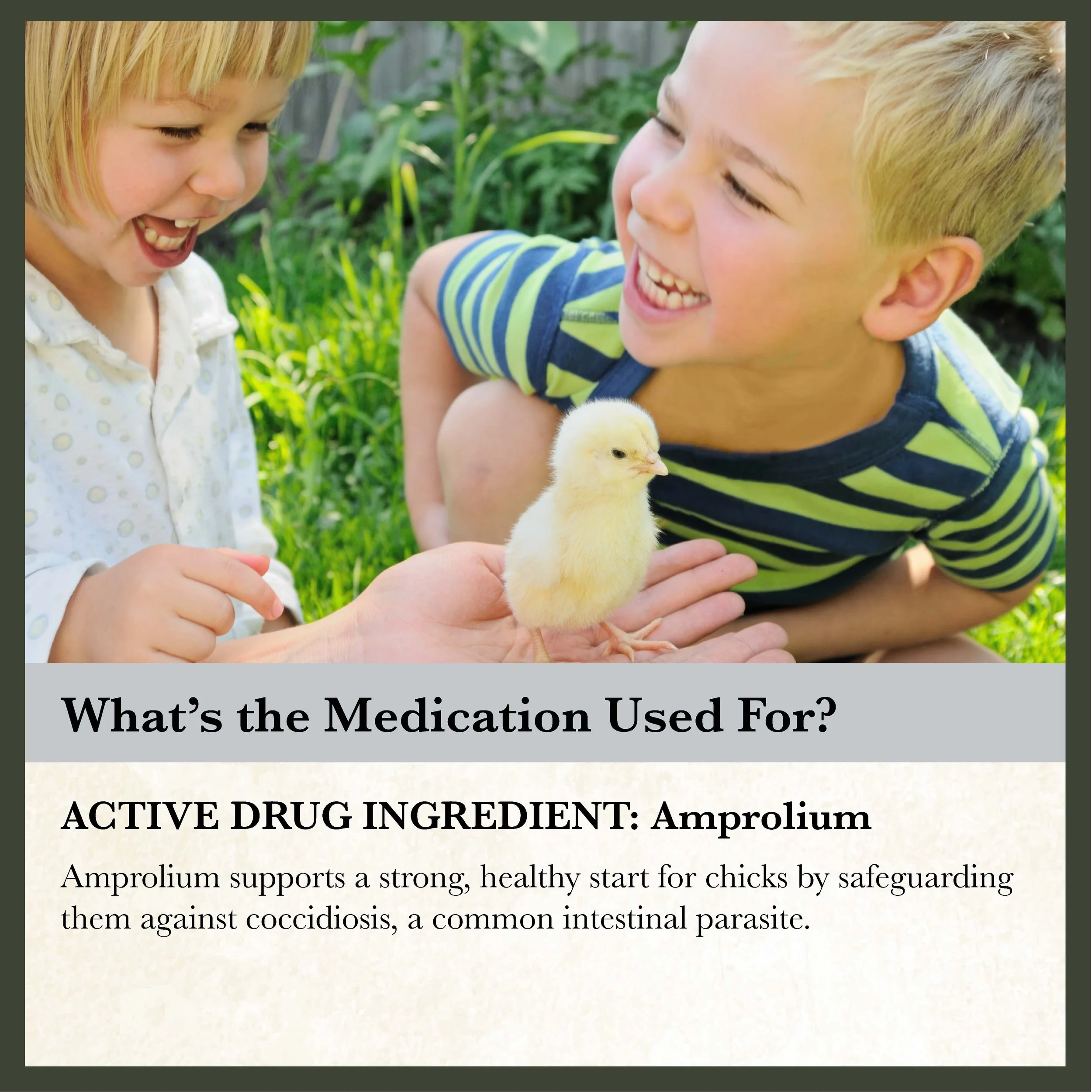 RC 22% Medicated Starter and Grower Feed Bonus copy-02.jpg