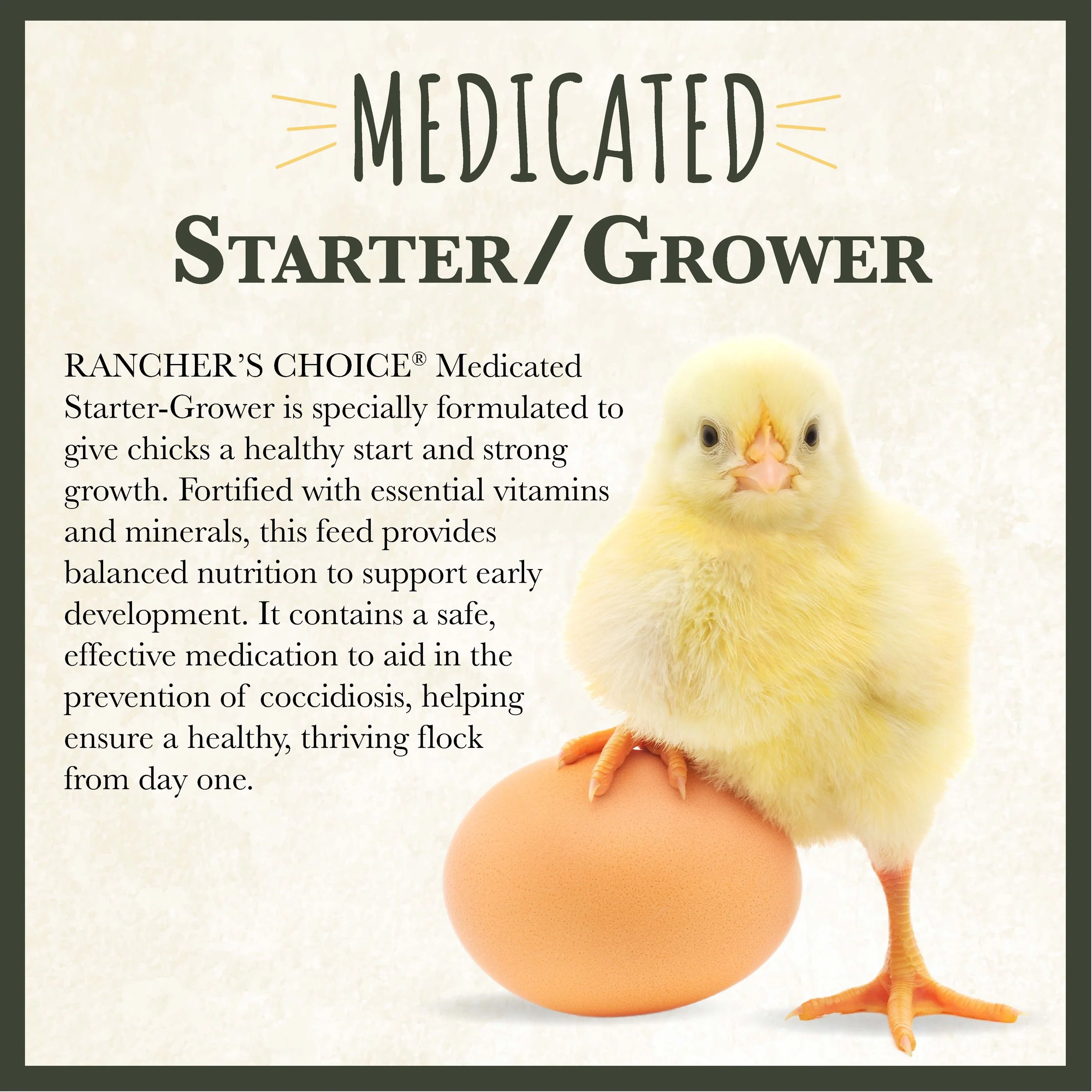 RC 22% Medicated Starter and Grower Feed Bonus copy-01.jpg