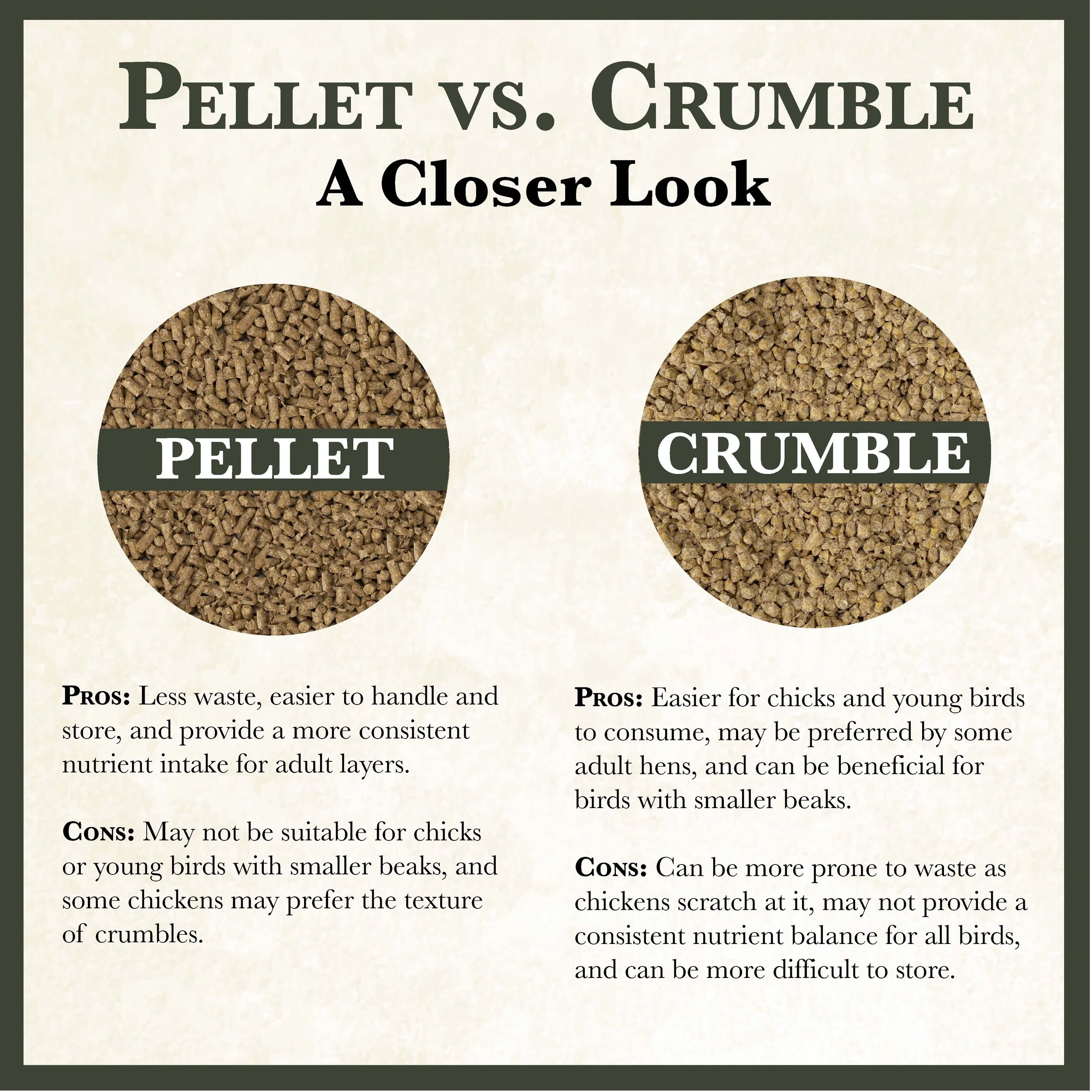 RC All Natural 16% Poultry Feed Bonus-01.jpg