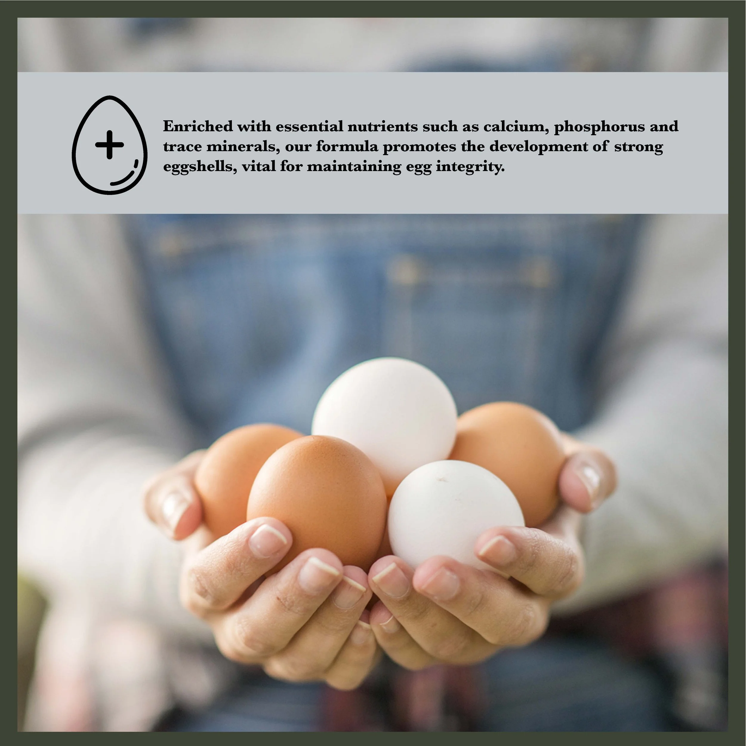 RC All Natural 16% Poultry Feed Bonus-04.jpg