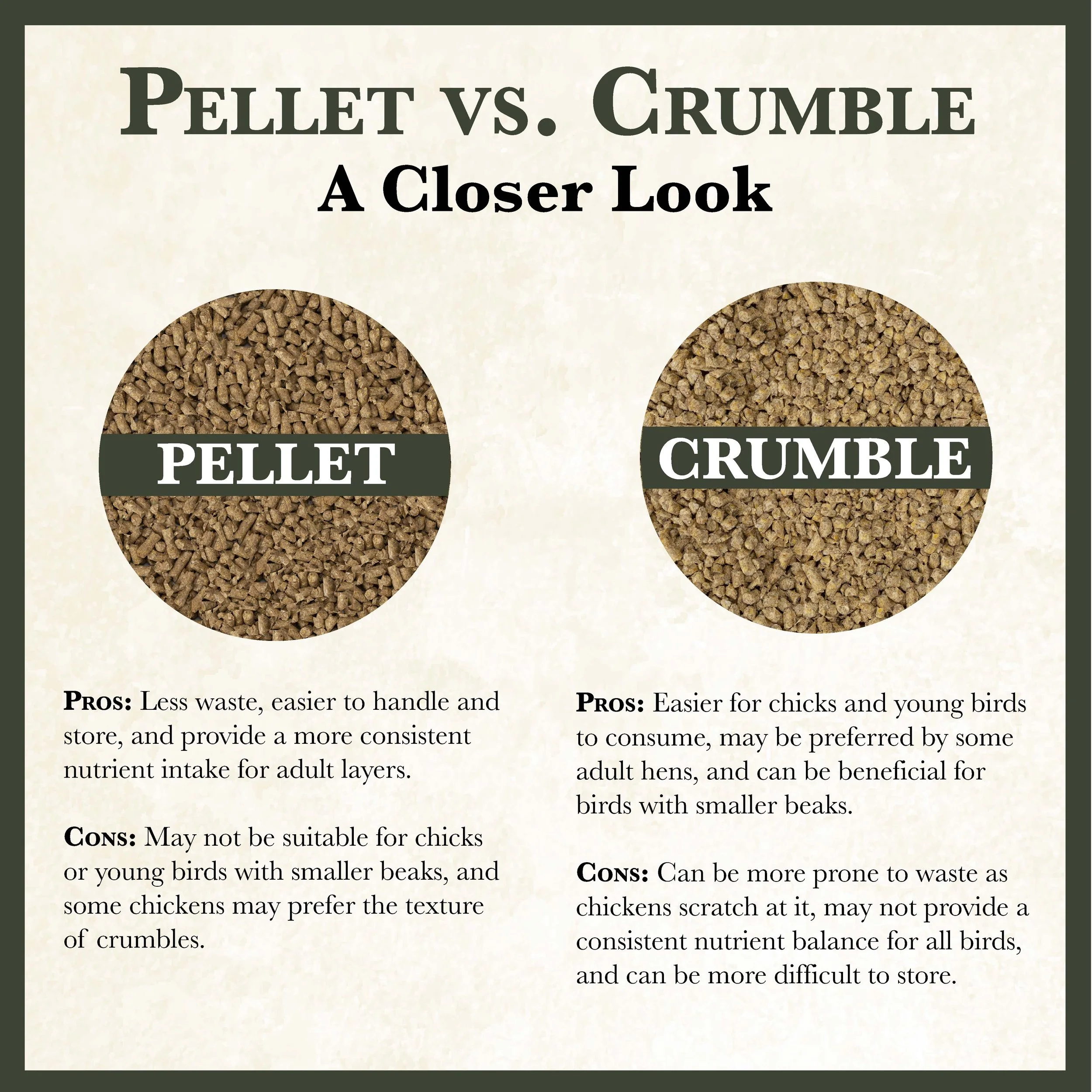 RC Flockwise 16% Poultry Feed Bonus-01.jpg