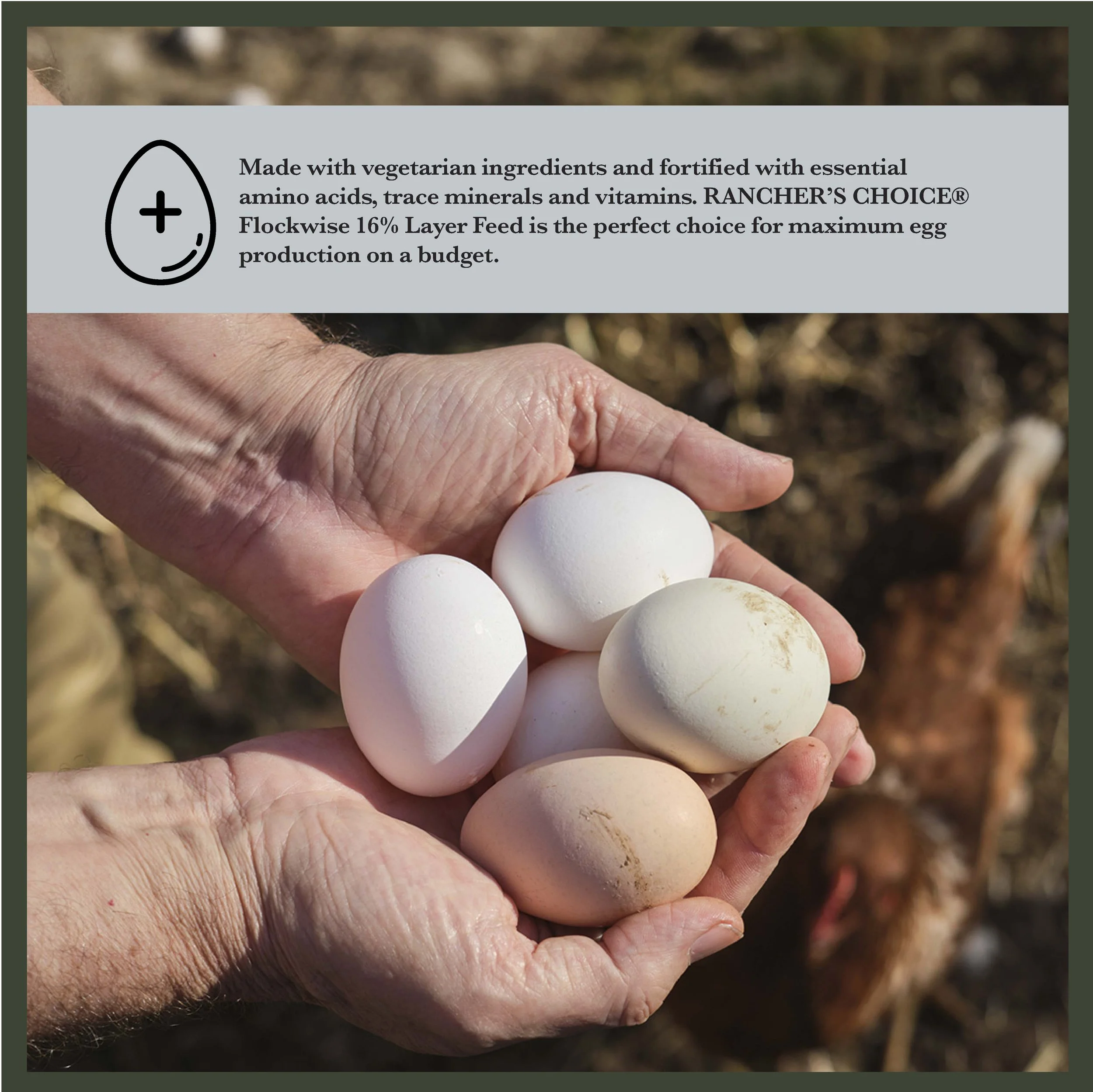 RC Flockwise 16% Poultry Feed Bonus-04.jpg