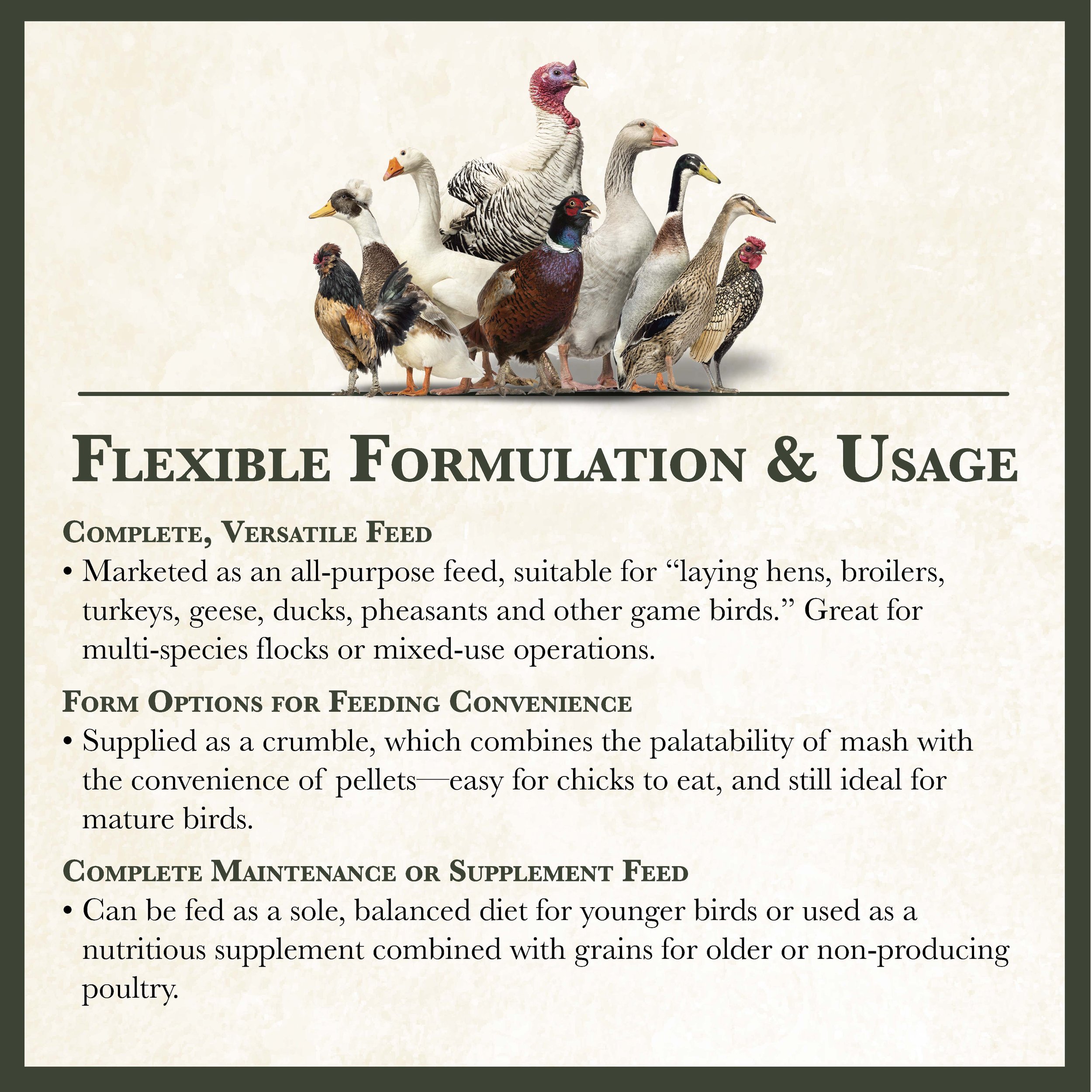 RC All Purpose Poultry Feed Bonus-03.jpg