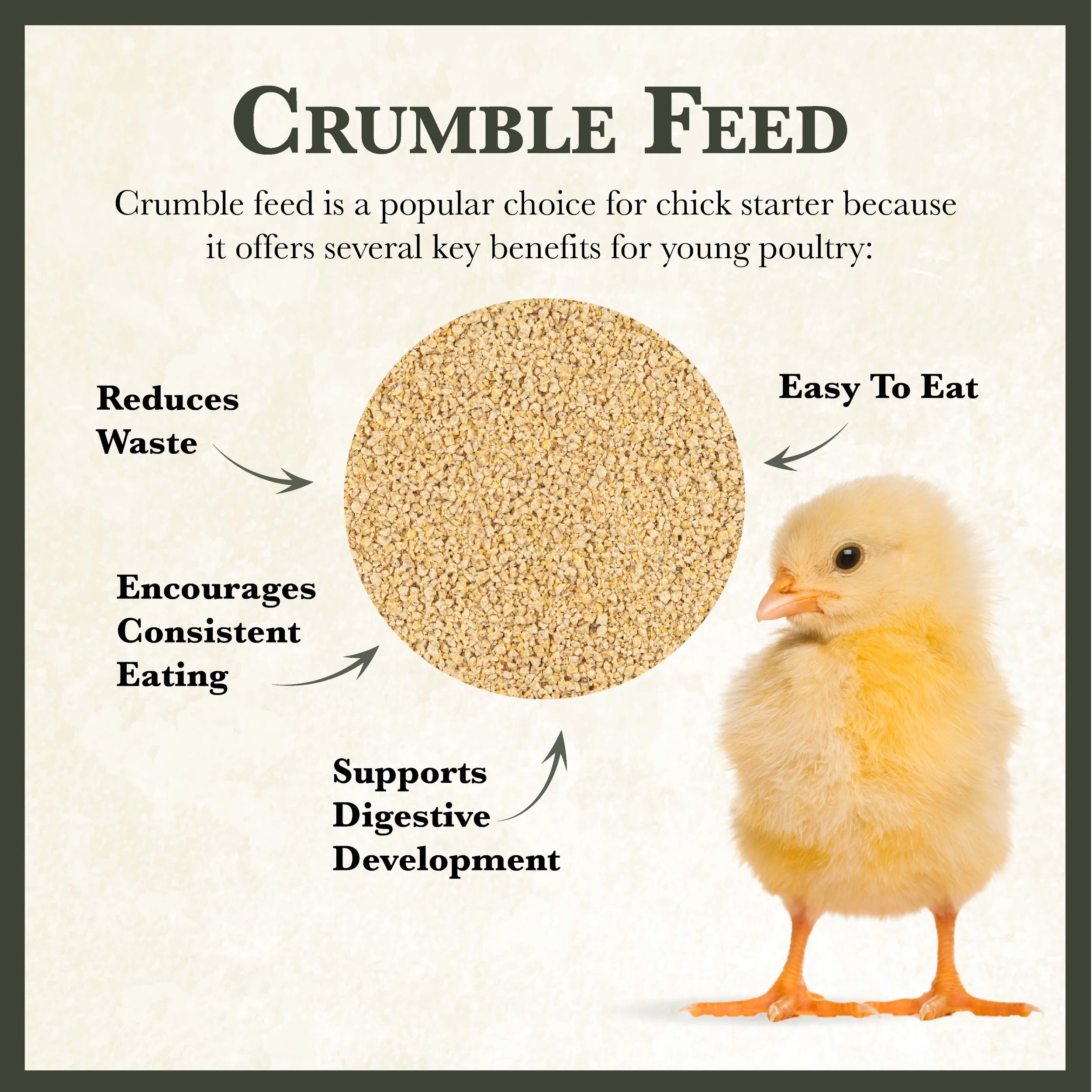 RC Starter and Grower Chick Feed Bonus-01.jpg