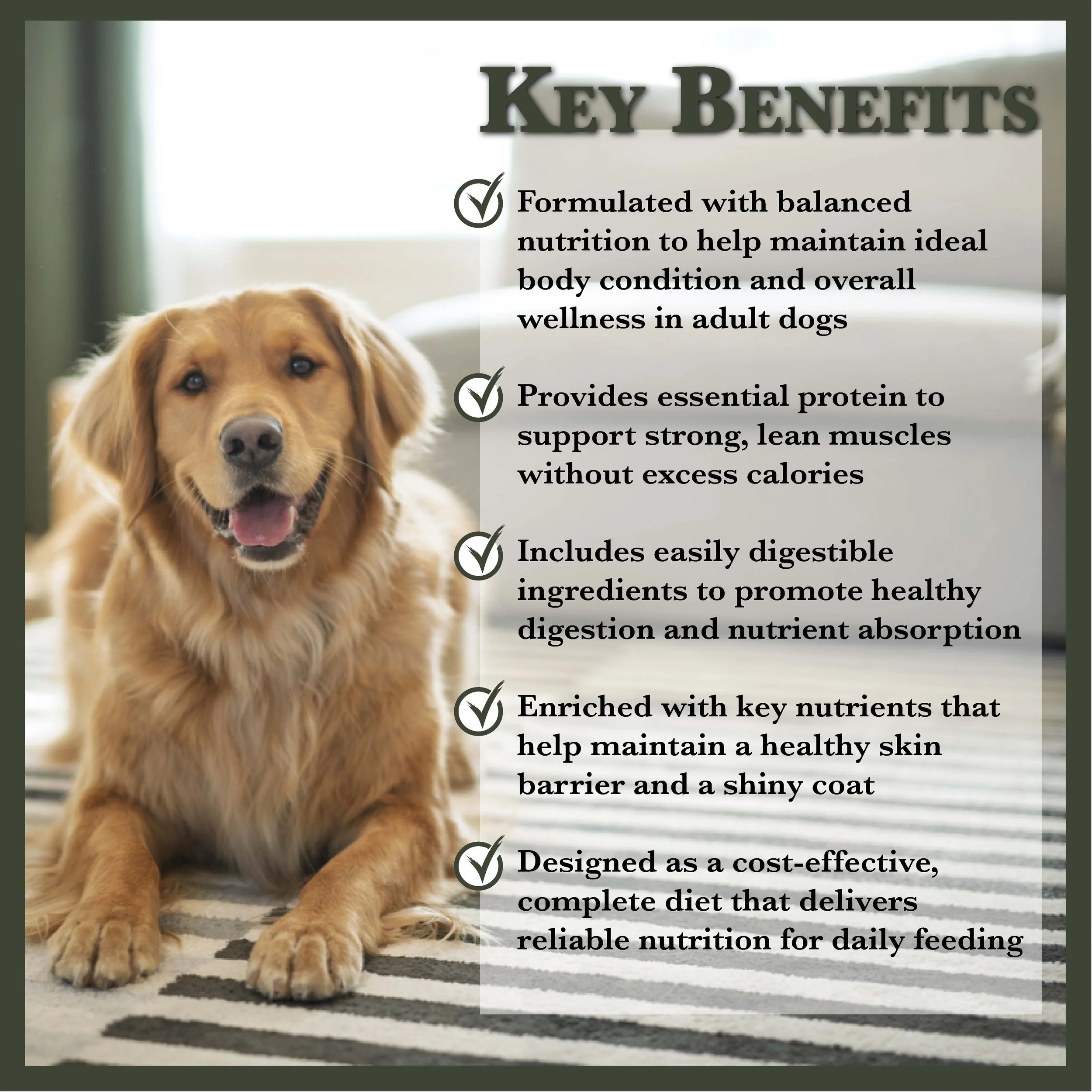 RC Prime Medley Dog Food-01.jpg