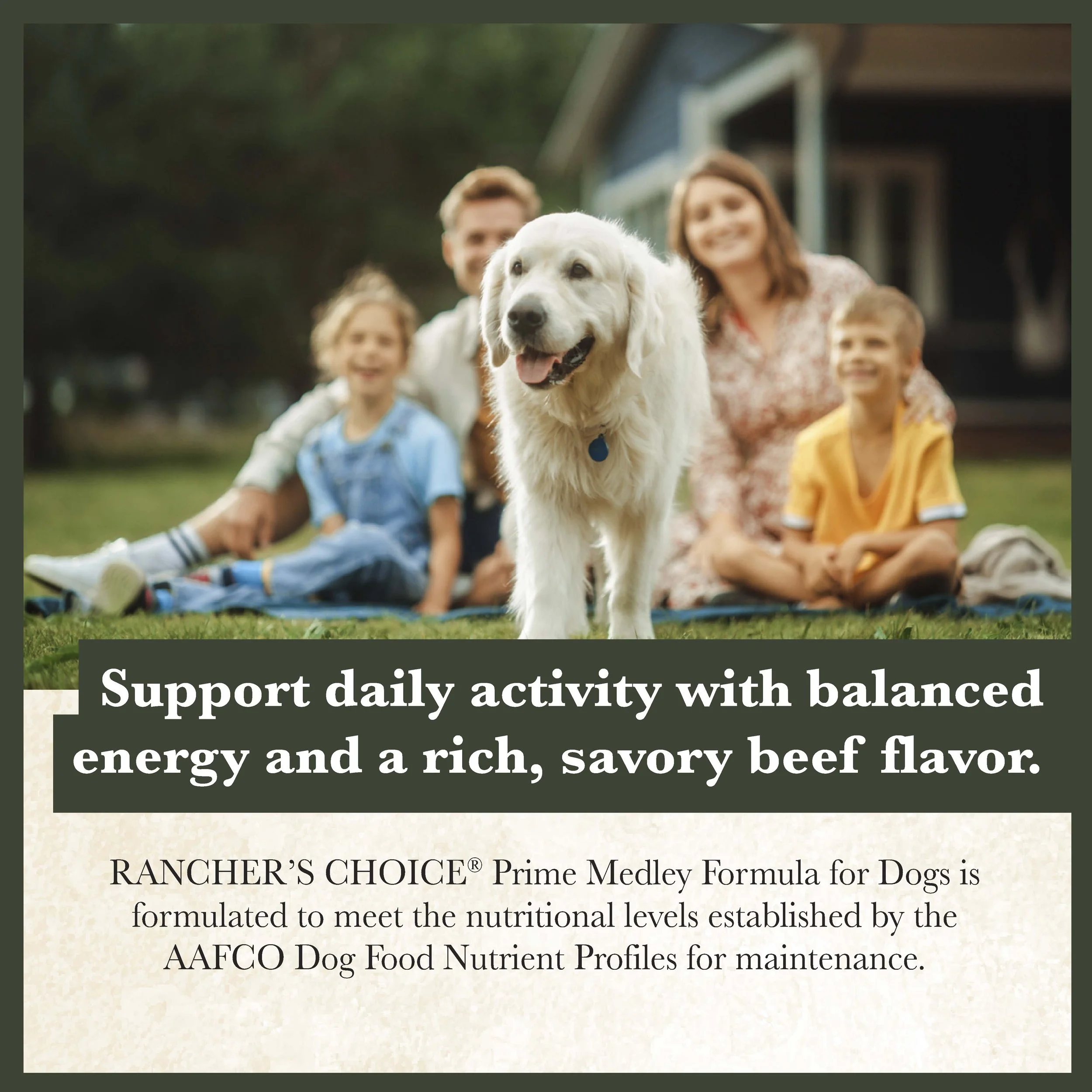 RC Prime Medley Dog Food-03.jpg