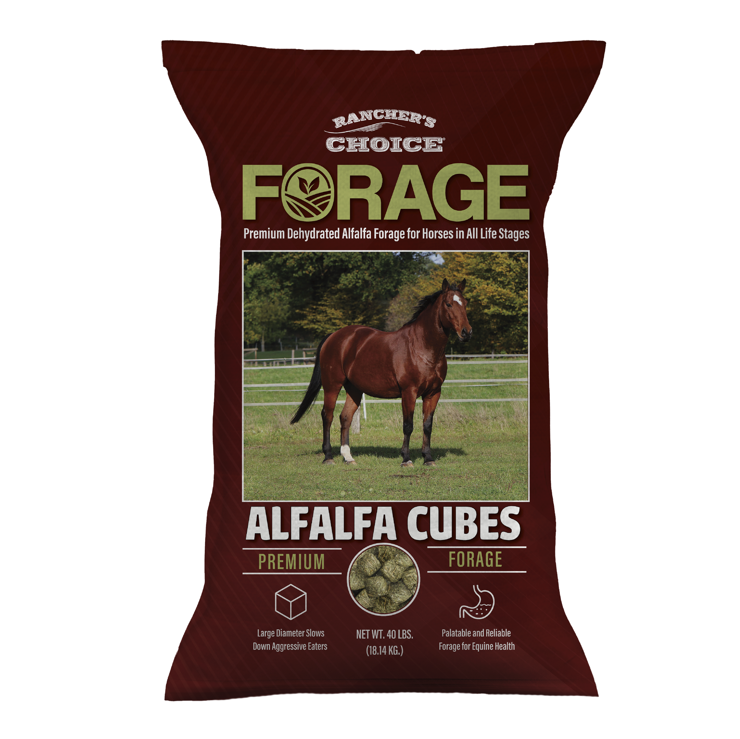 Forage Alfalfa Cubes