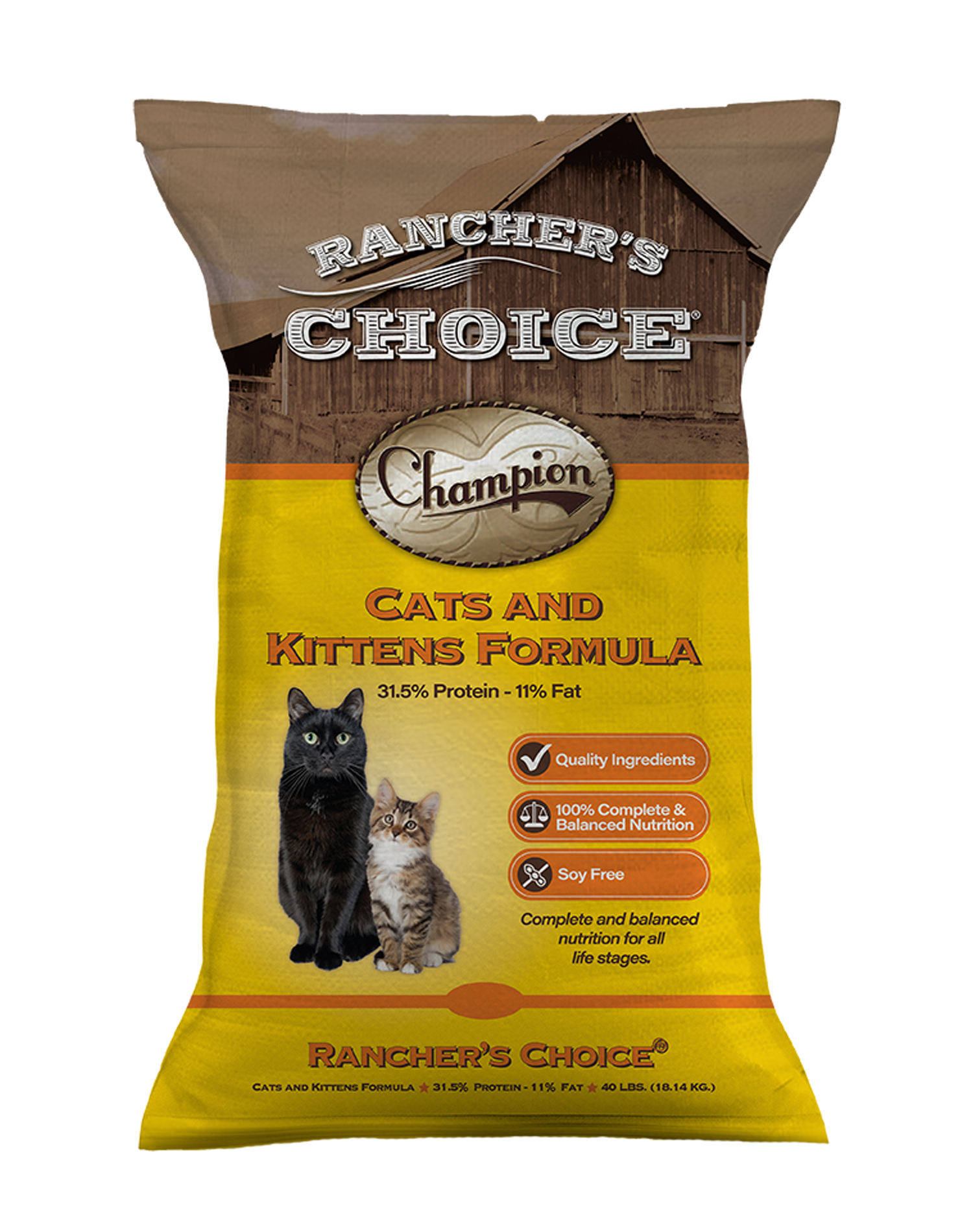 Cats and Kittens Cat Food