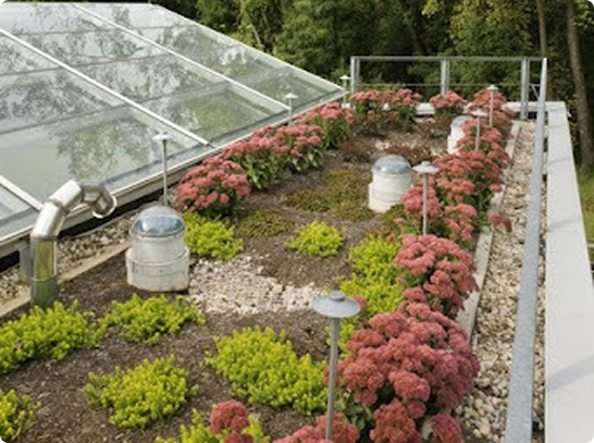 Greenhouse roof with plants and flowers outside