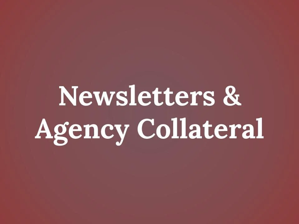 Gallery 1 — Russ Levin Consulting Services