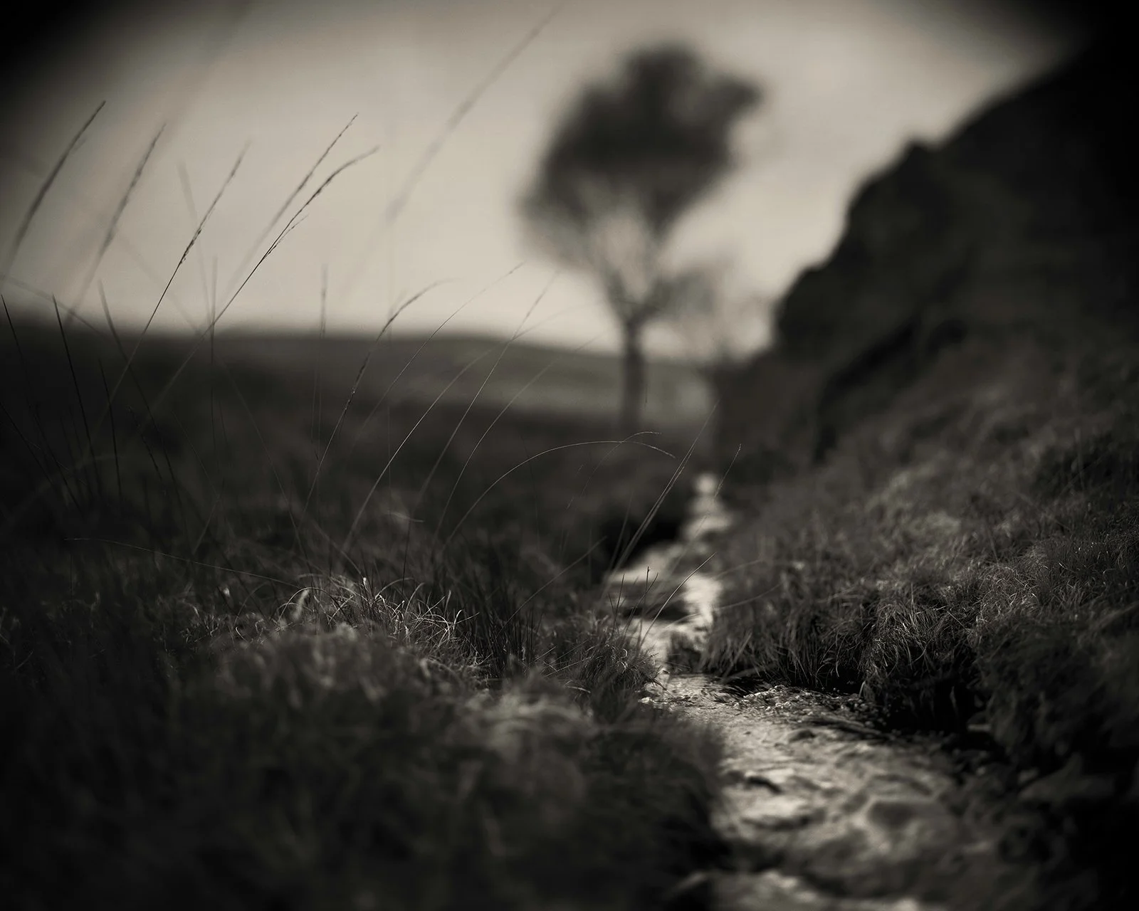 from the series 'An Extremely Un-get-atable Place'