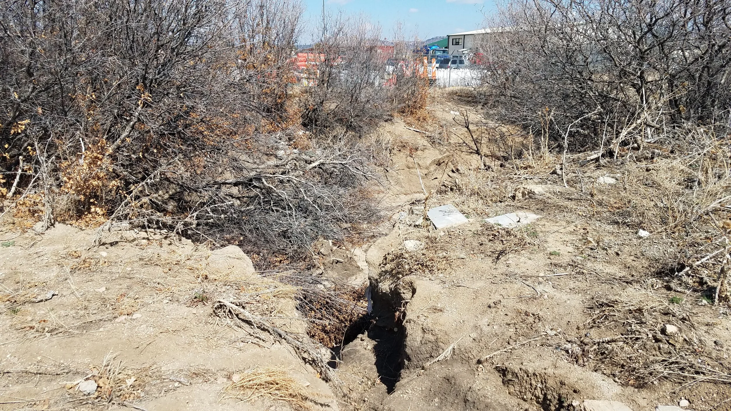 20180326_121457.jpg