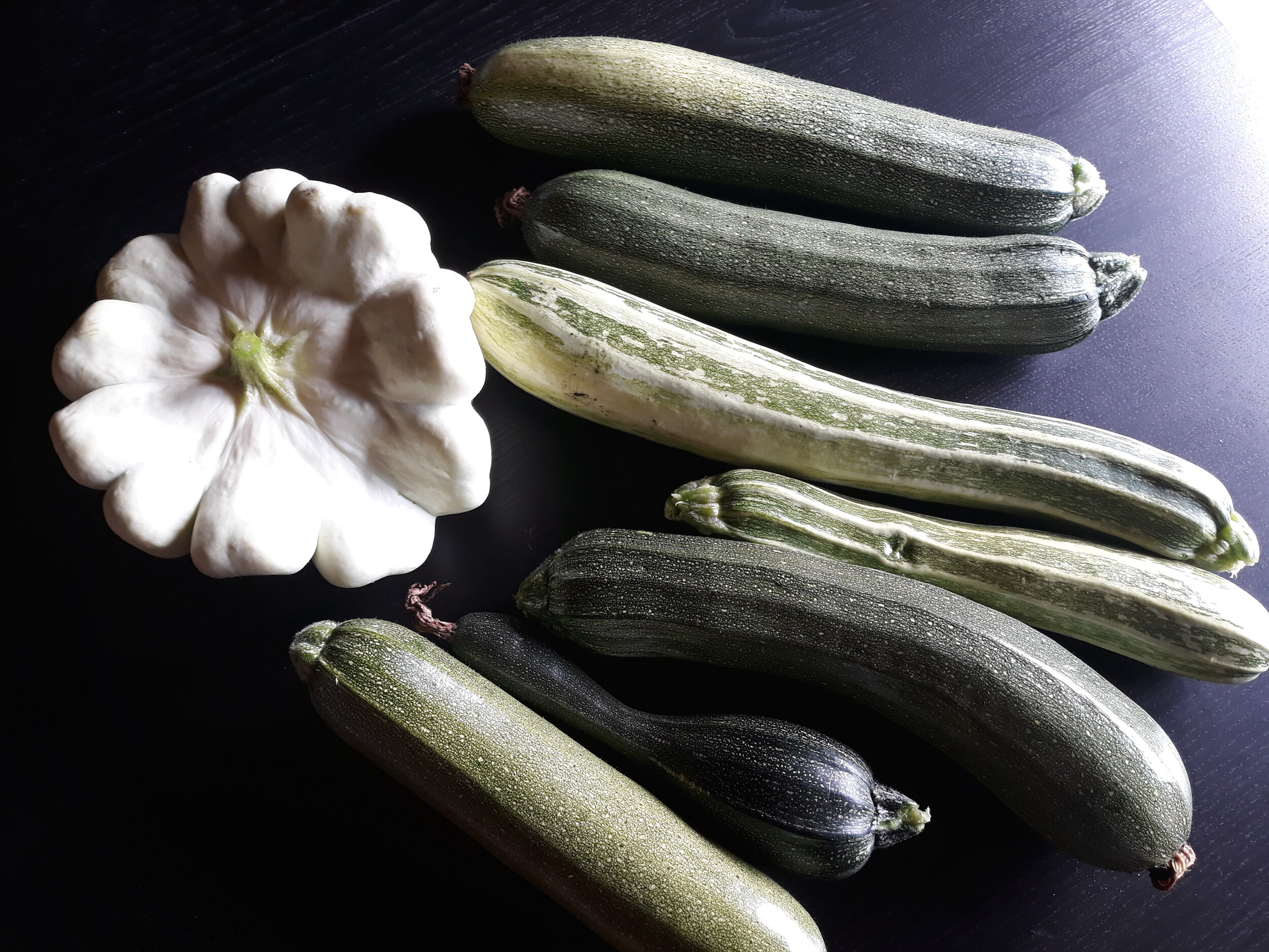 Zucchini 5.jpg