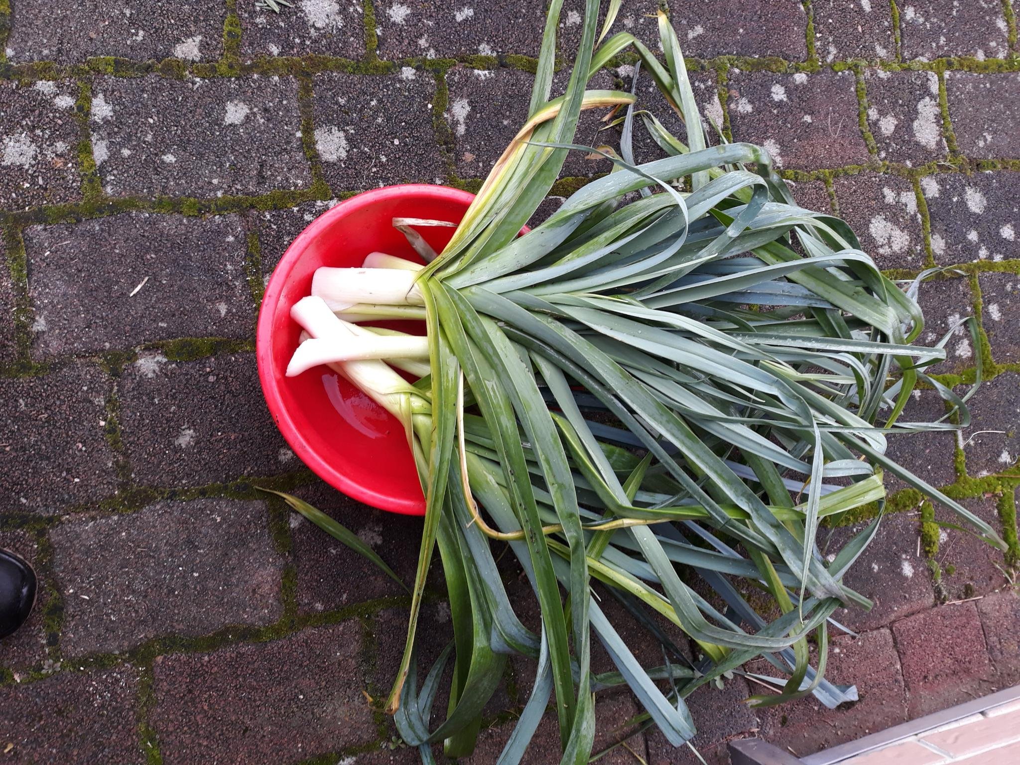 Leeks