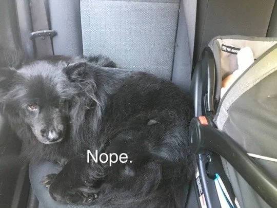 lexi4.jpeg