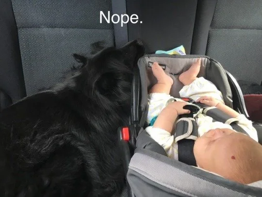lexi5.jpeg