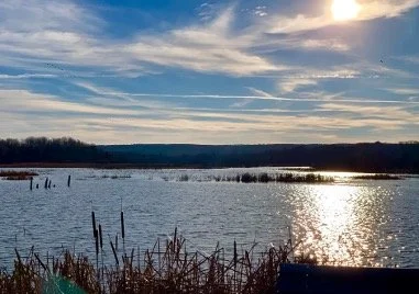 Deadline: Artist in Residence