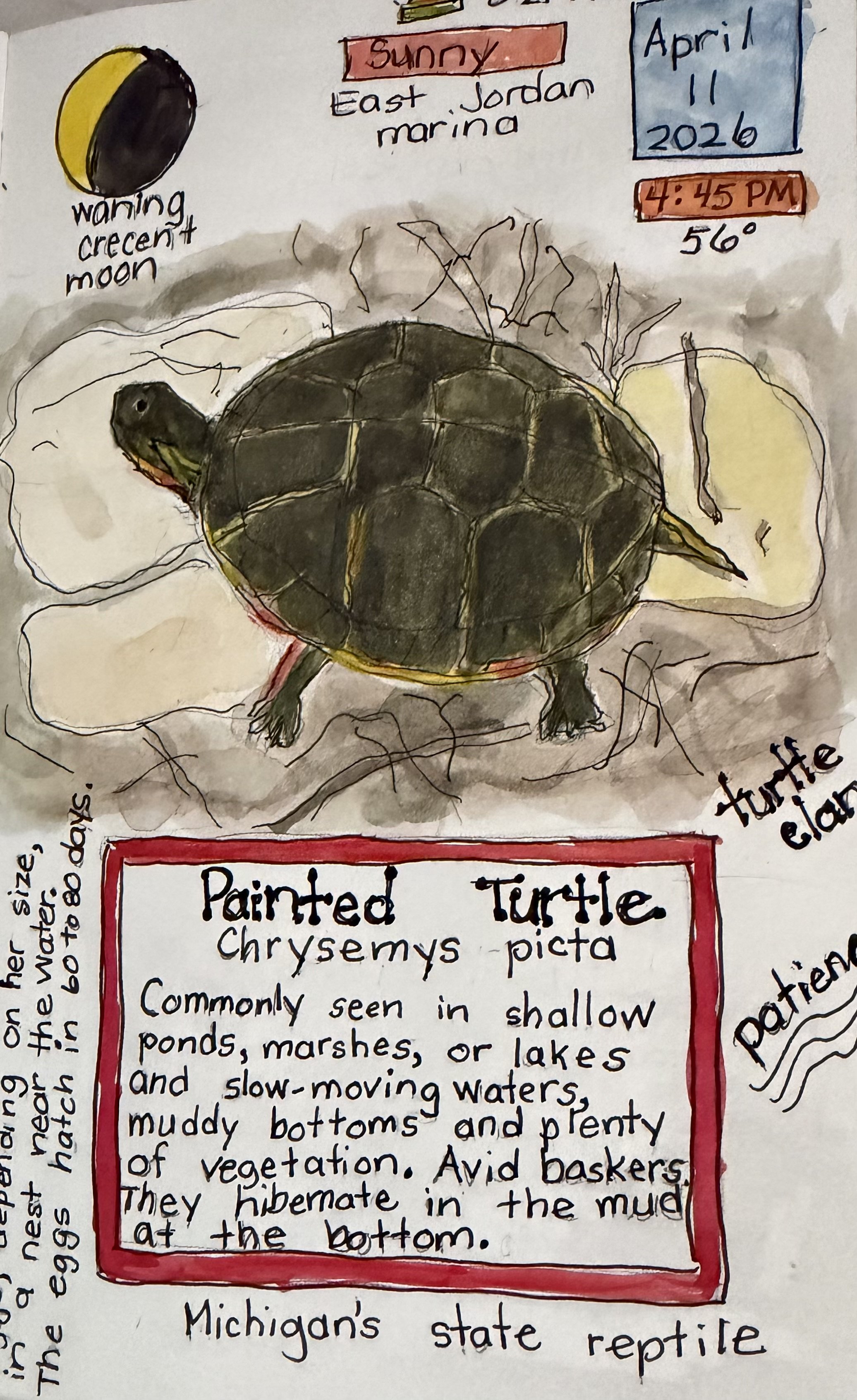 Nature Journaling Class